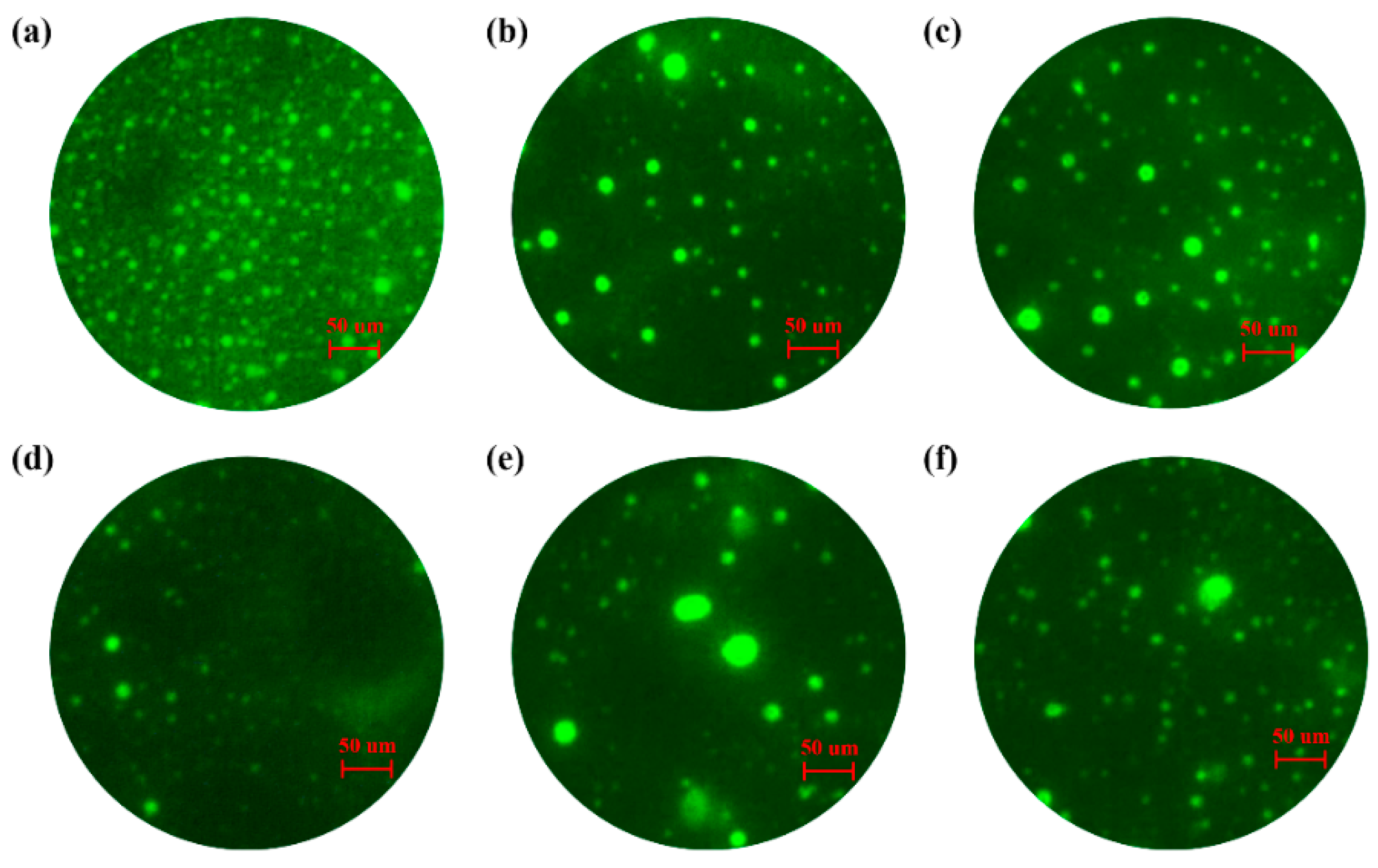 Materials 14 04201 g003 550