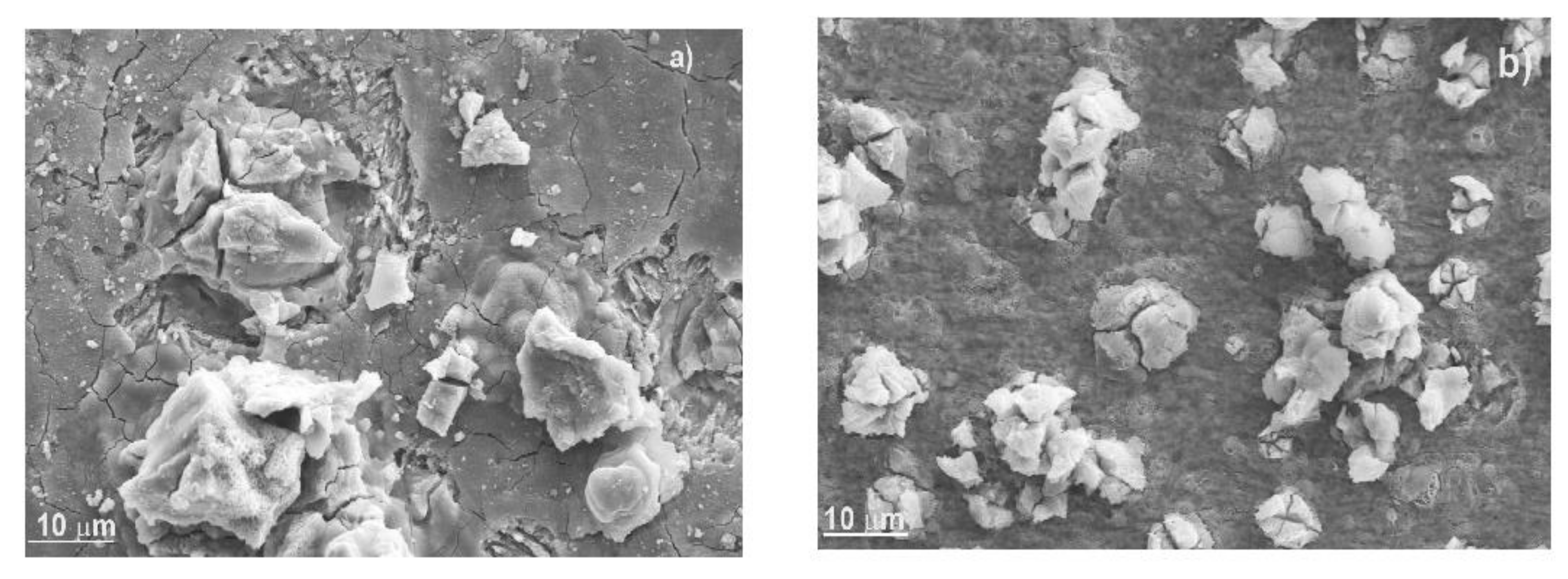 Materials 14 04206 g009 550