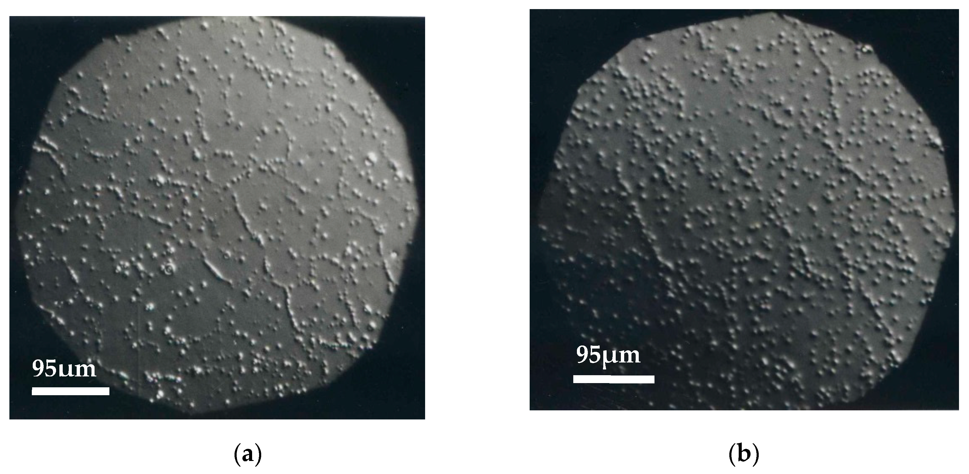 Materials 14 04207 g003