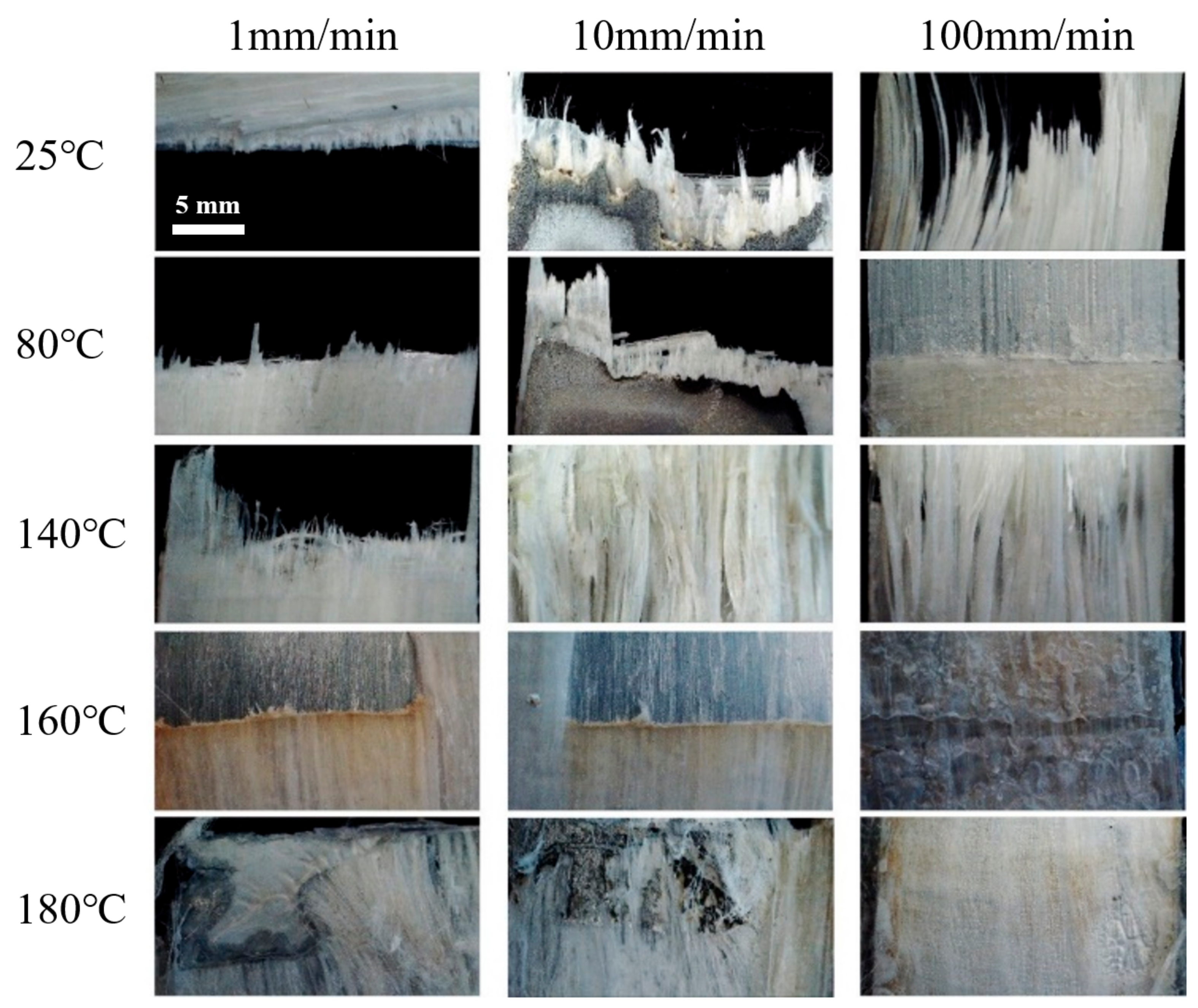 Materials 14 04210 g007
