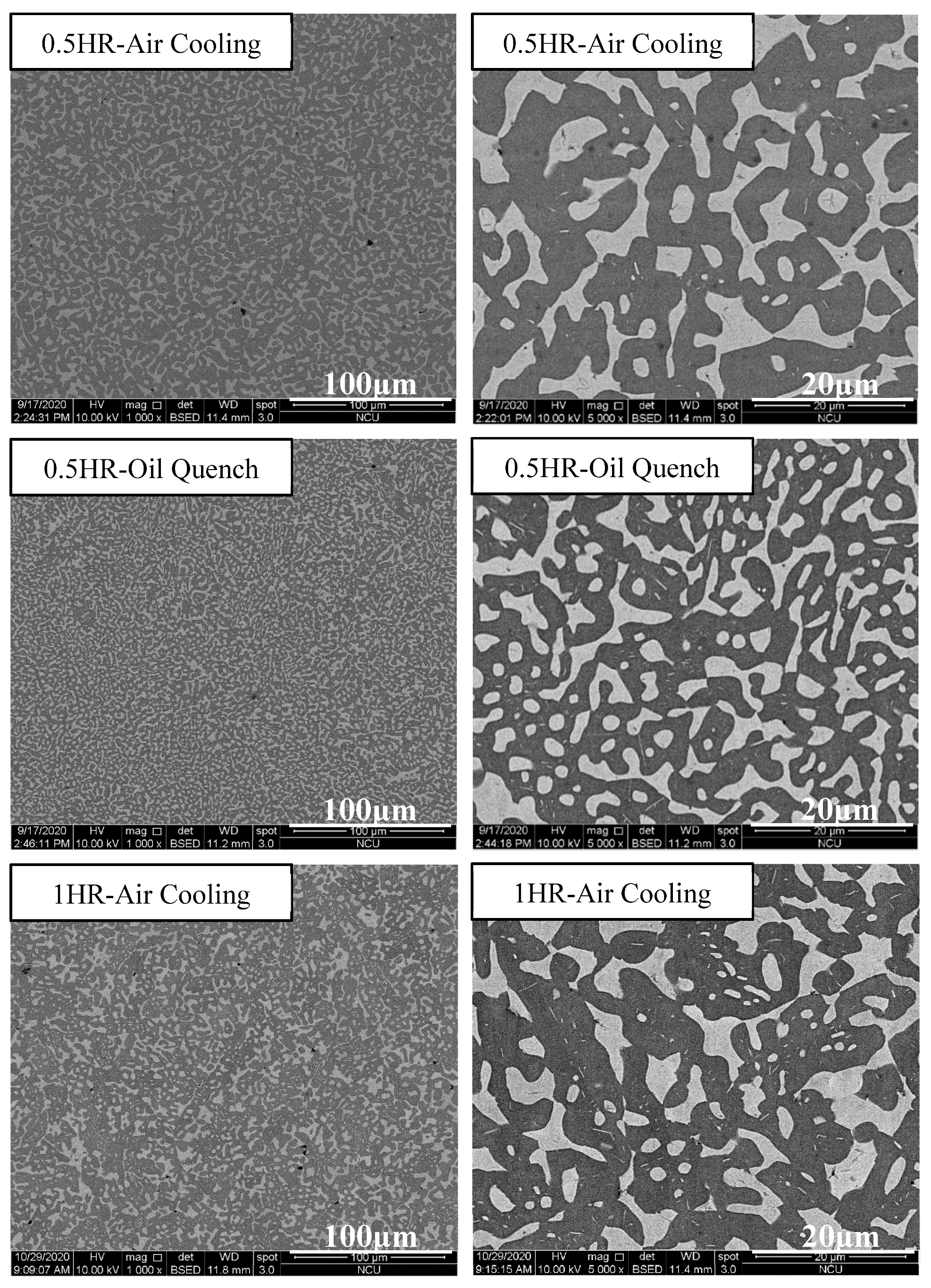 Materials 14 04223 g013a 550