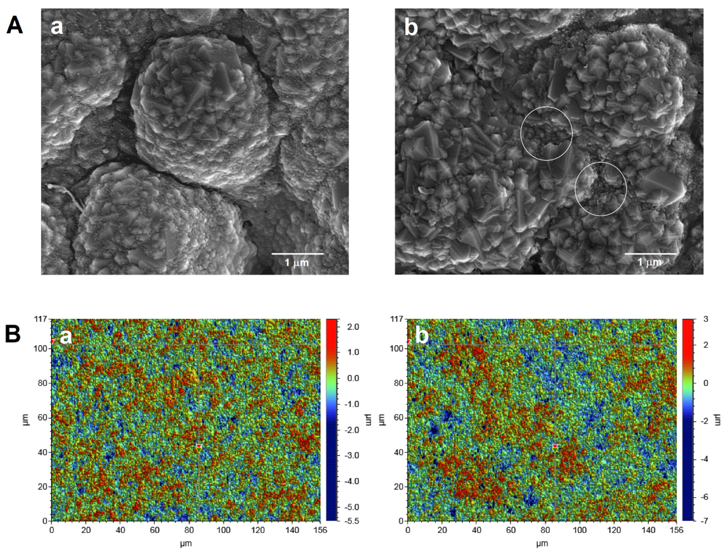 Materials 14 04231 g003