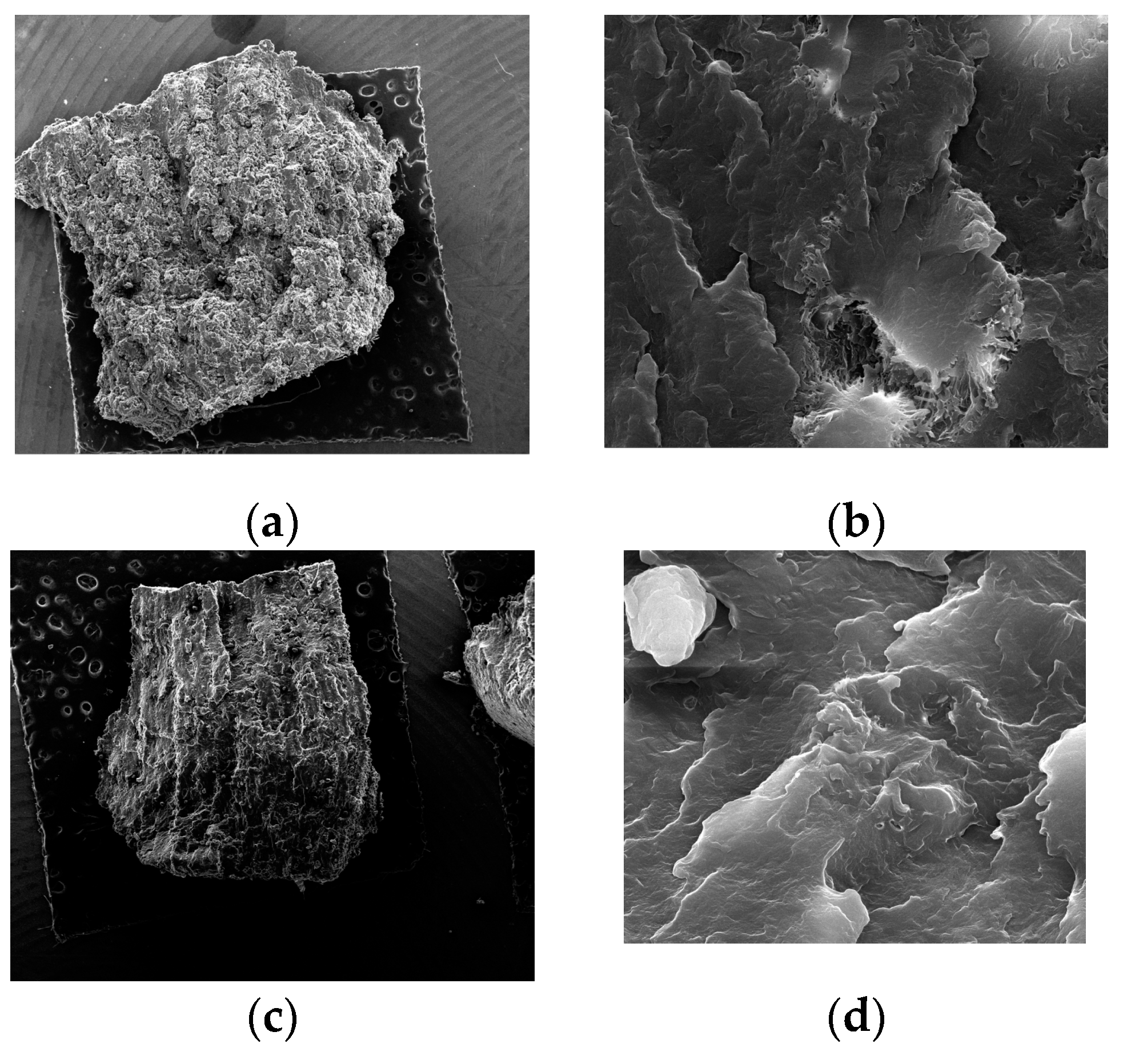 Materials 14 04240 g005a