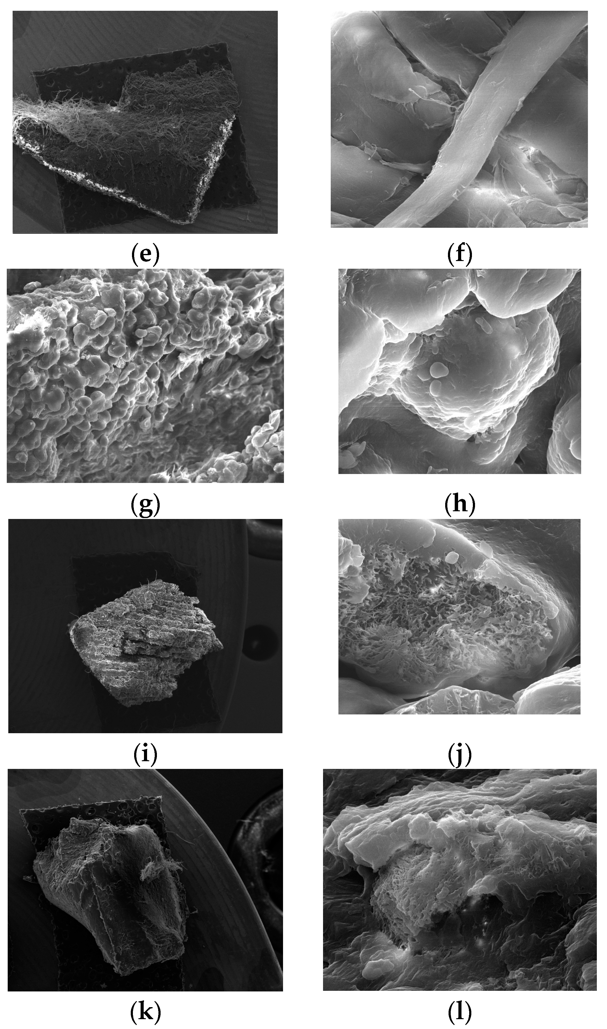 Materials 14 04240 g005b