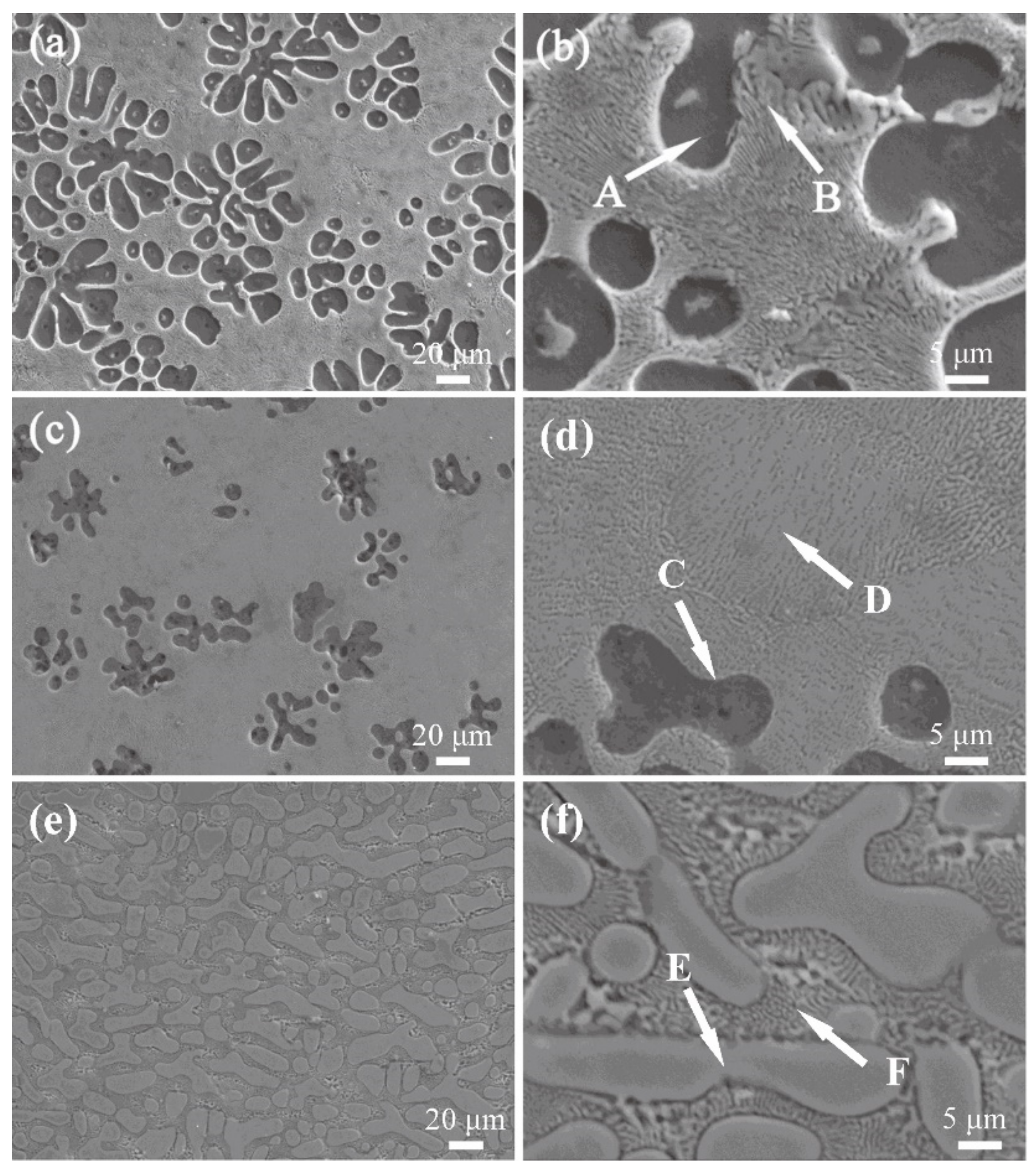 Materials 14 04246 g002