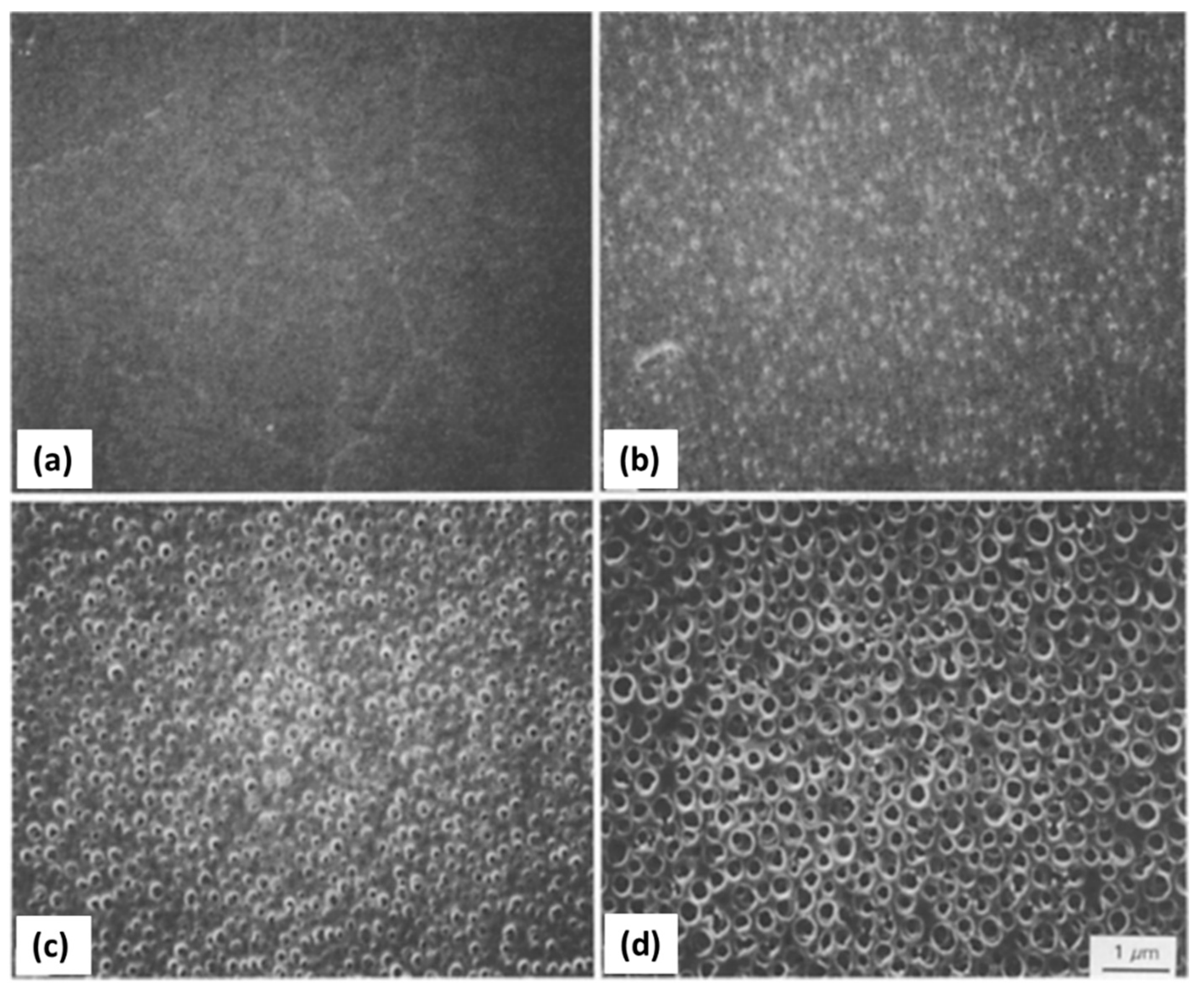 Materials 14 04247 g019 Materials 14 04247 g019