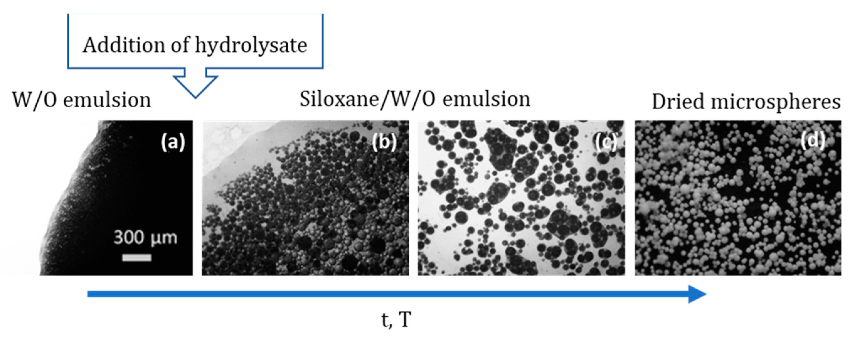 Materials 14 04247 g026 Materials 14 04247 g026