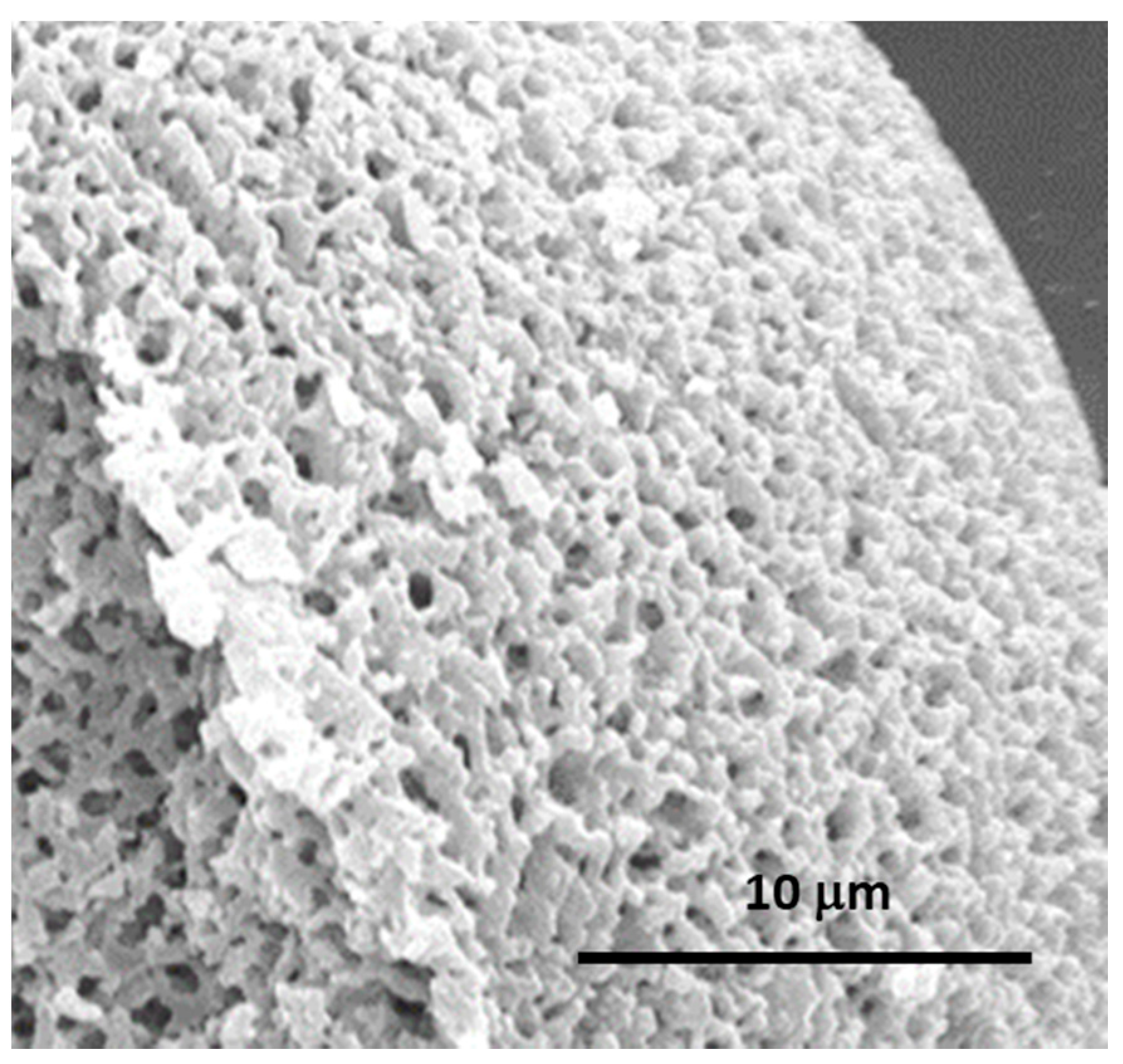 Materials 14 04247 g031 Materials 14 04247 g031