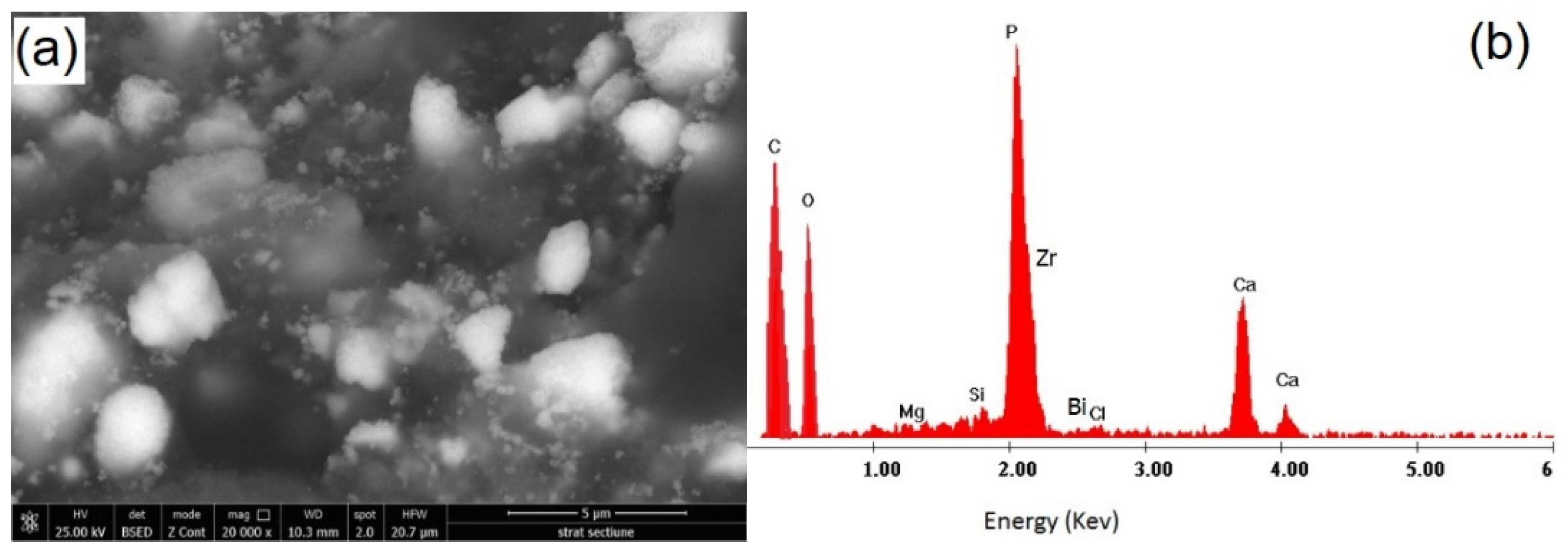 Materials 14 04248 g005a