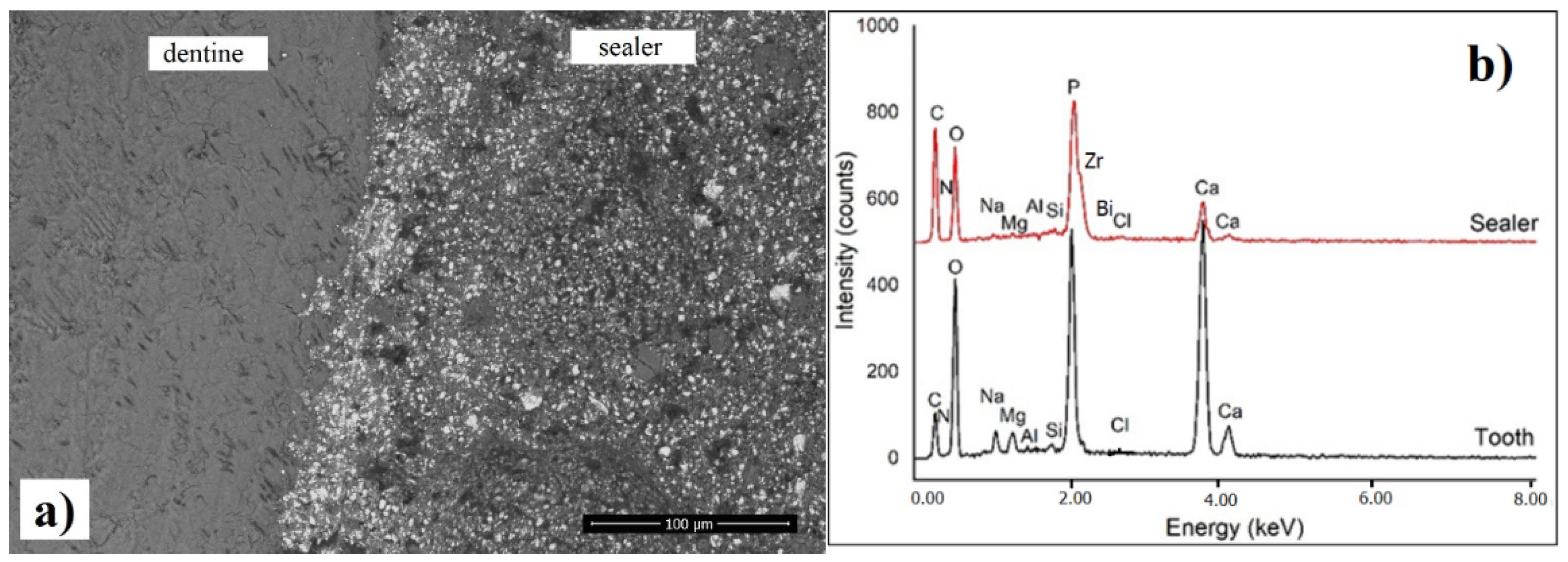 Materials 14 04248 g008a