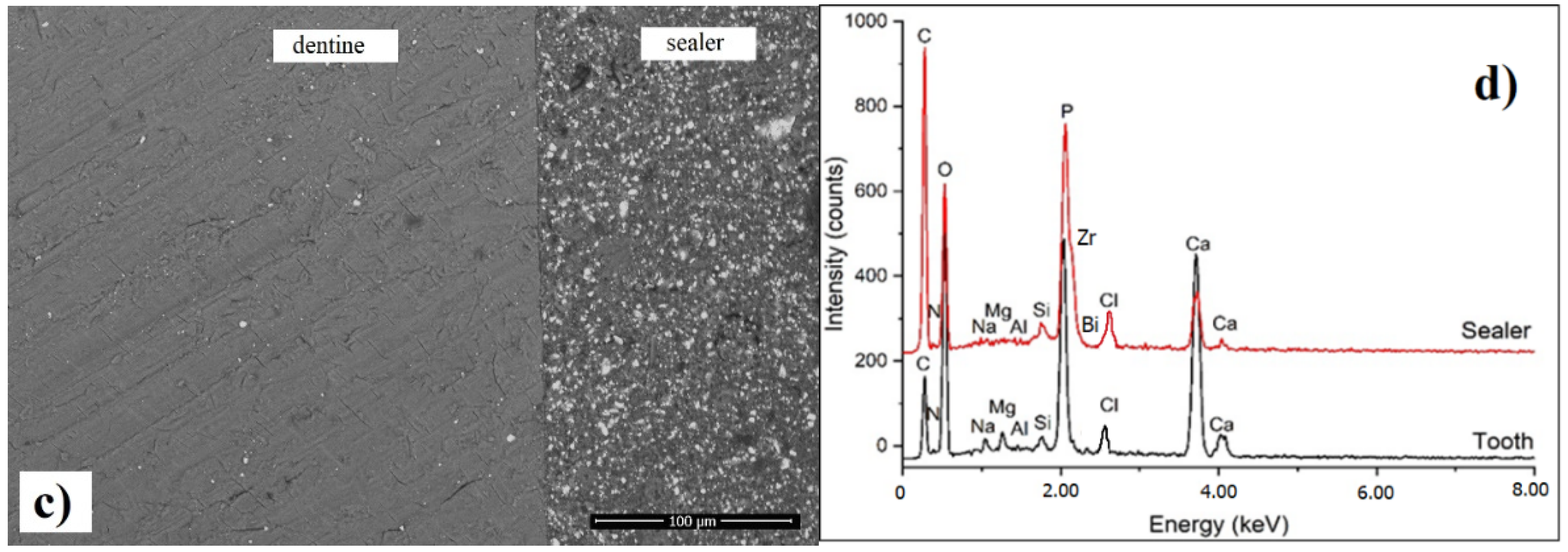 Materials 14 04248 g008b