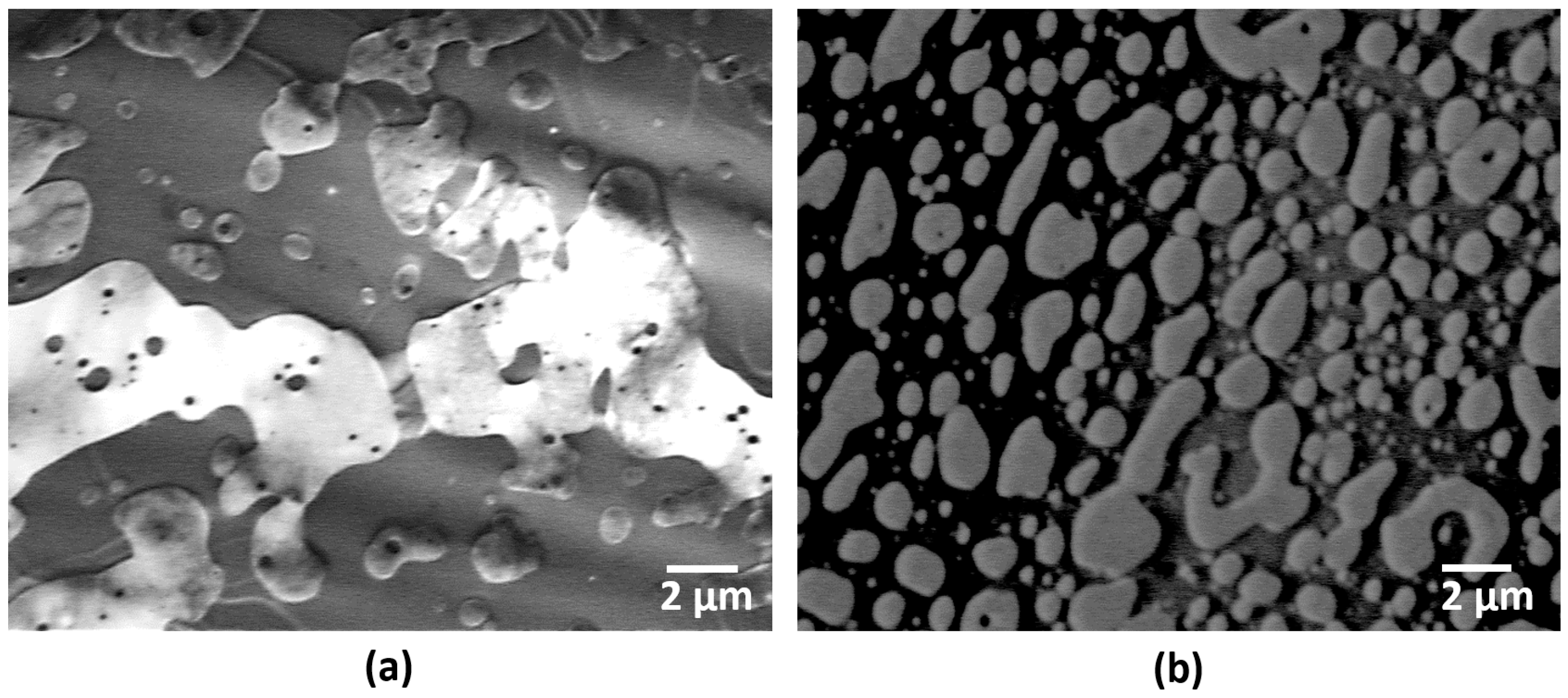 Materials 14 04254 g003