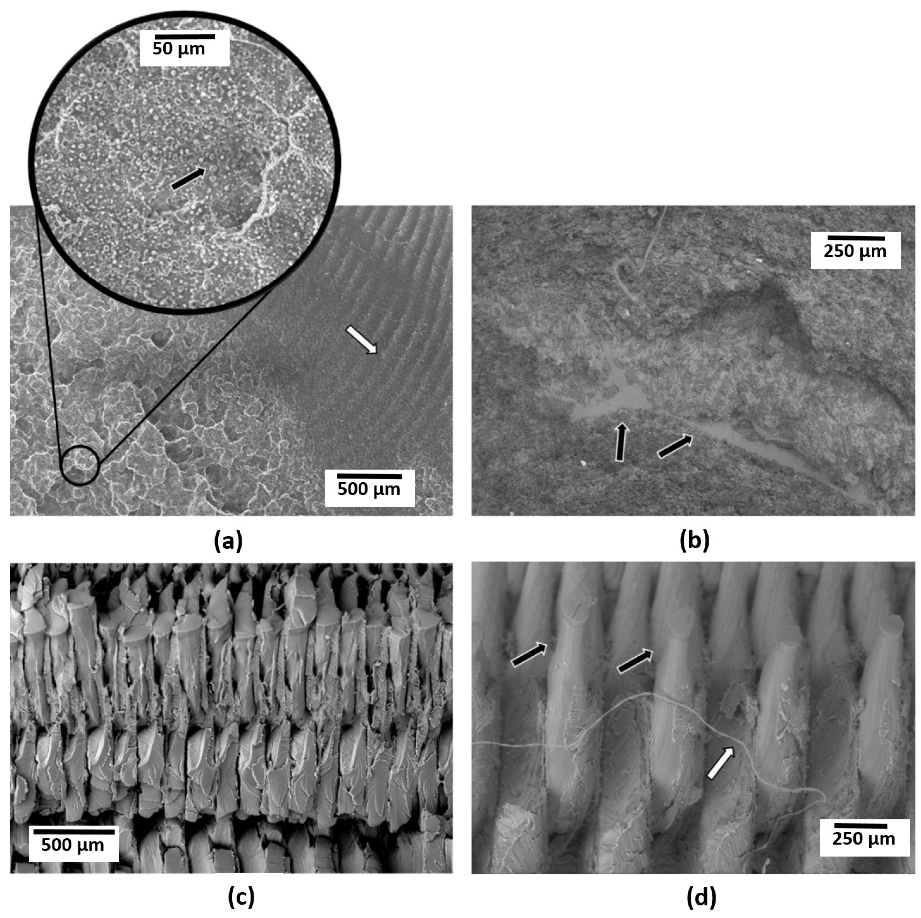 Materials 14 04254 g010