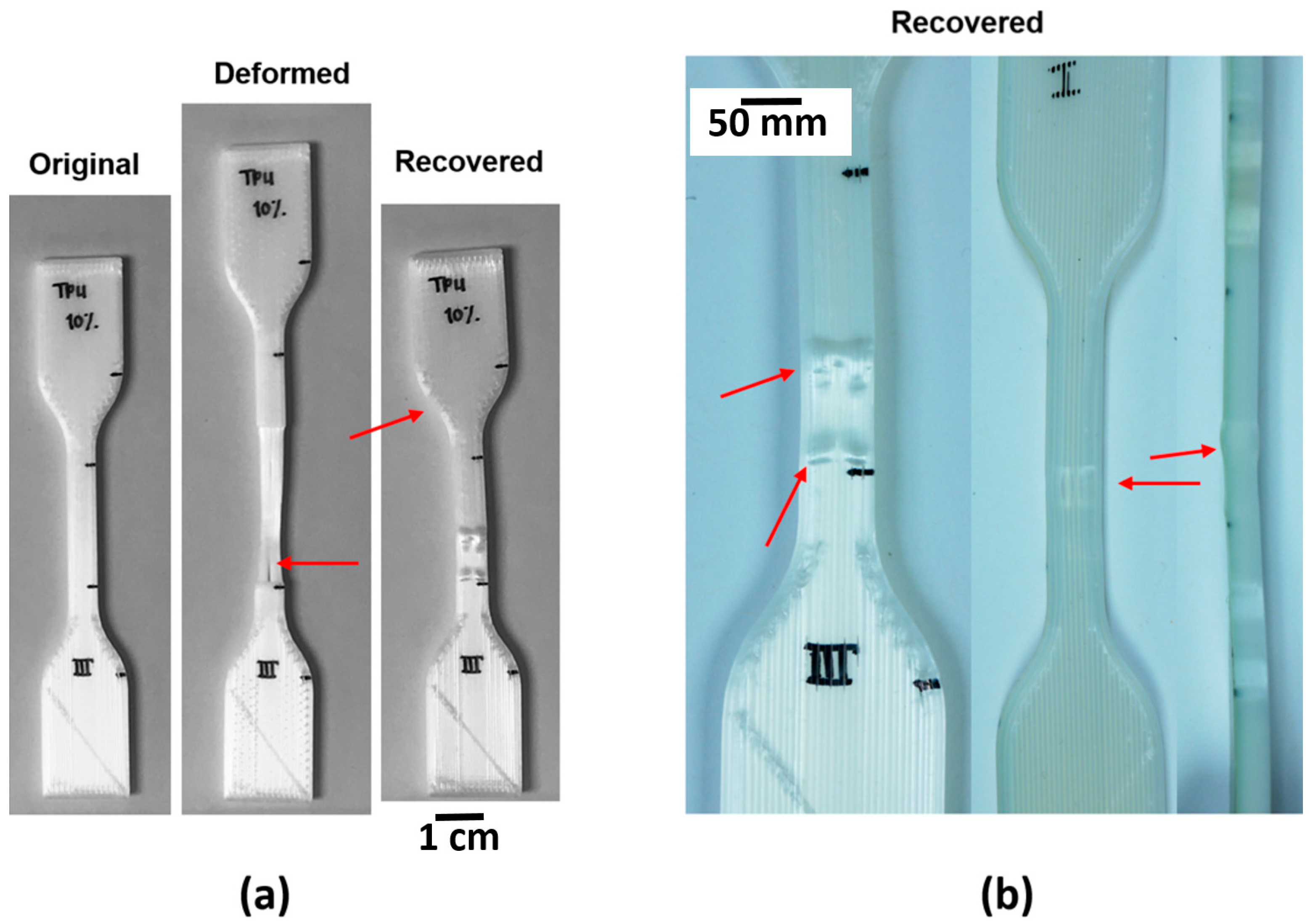 Materials 14 04254 g013
