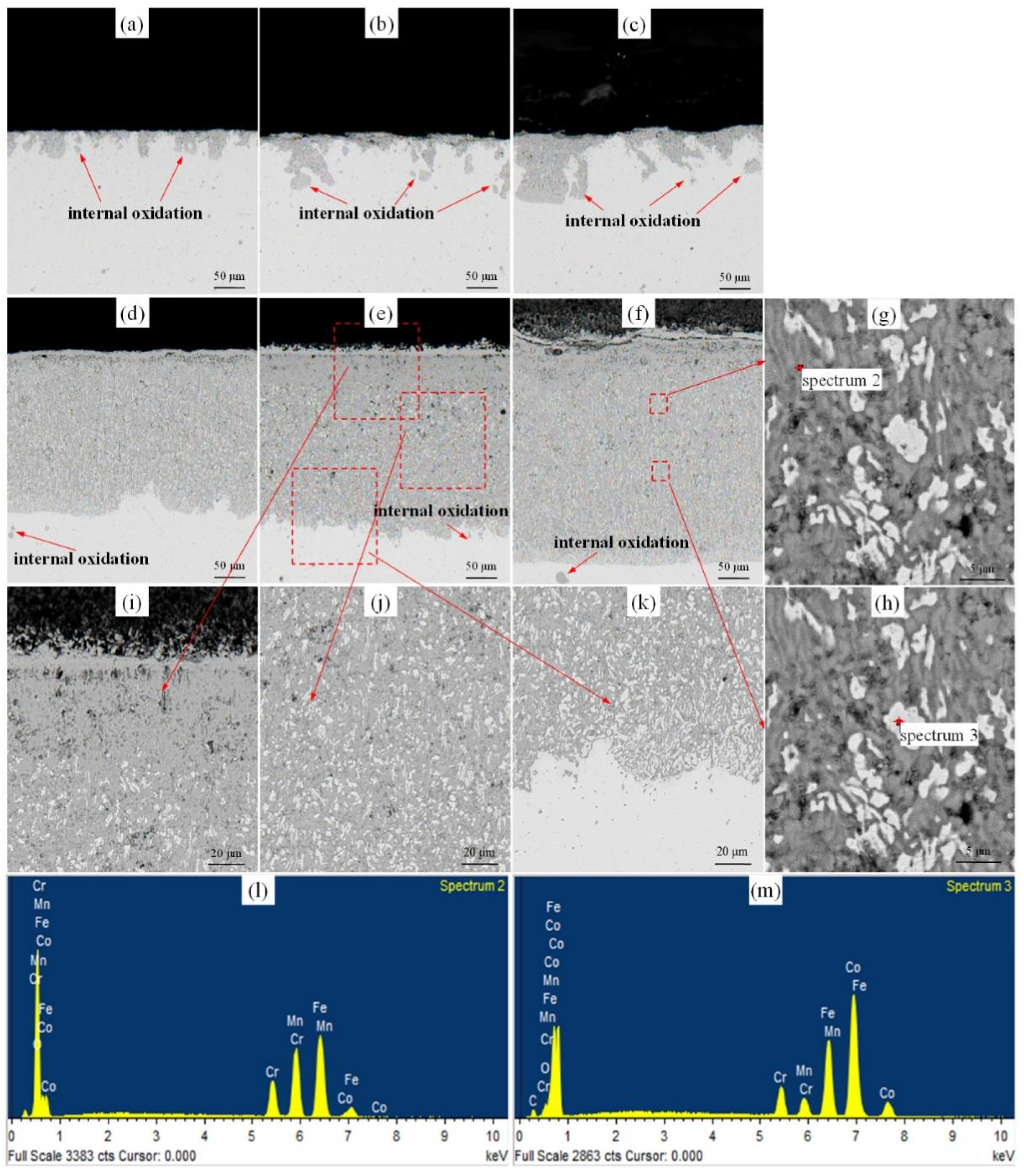 Materials 14 04259 g005
