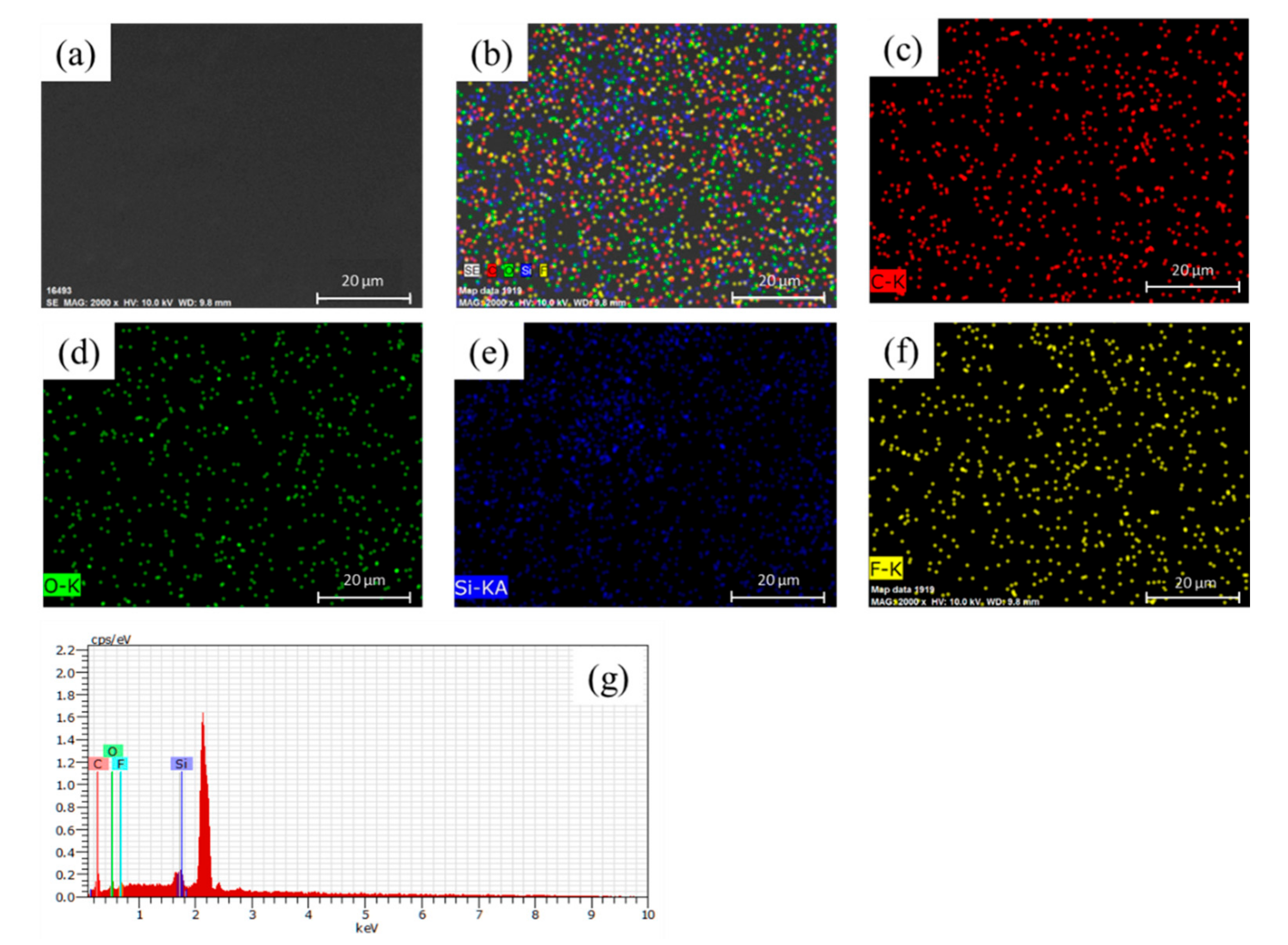 Materials 14 04261 g006
