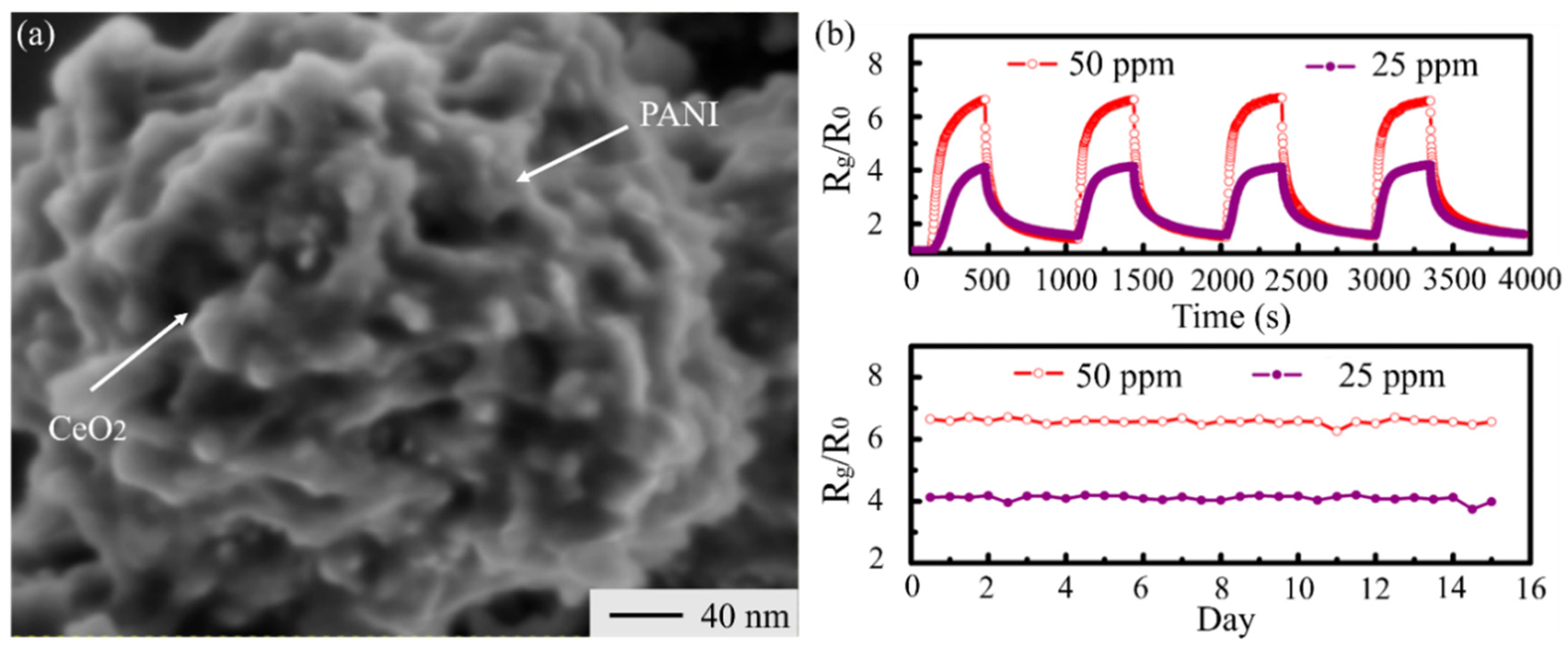 Materials 14 04263 g010 550