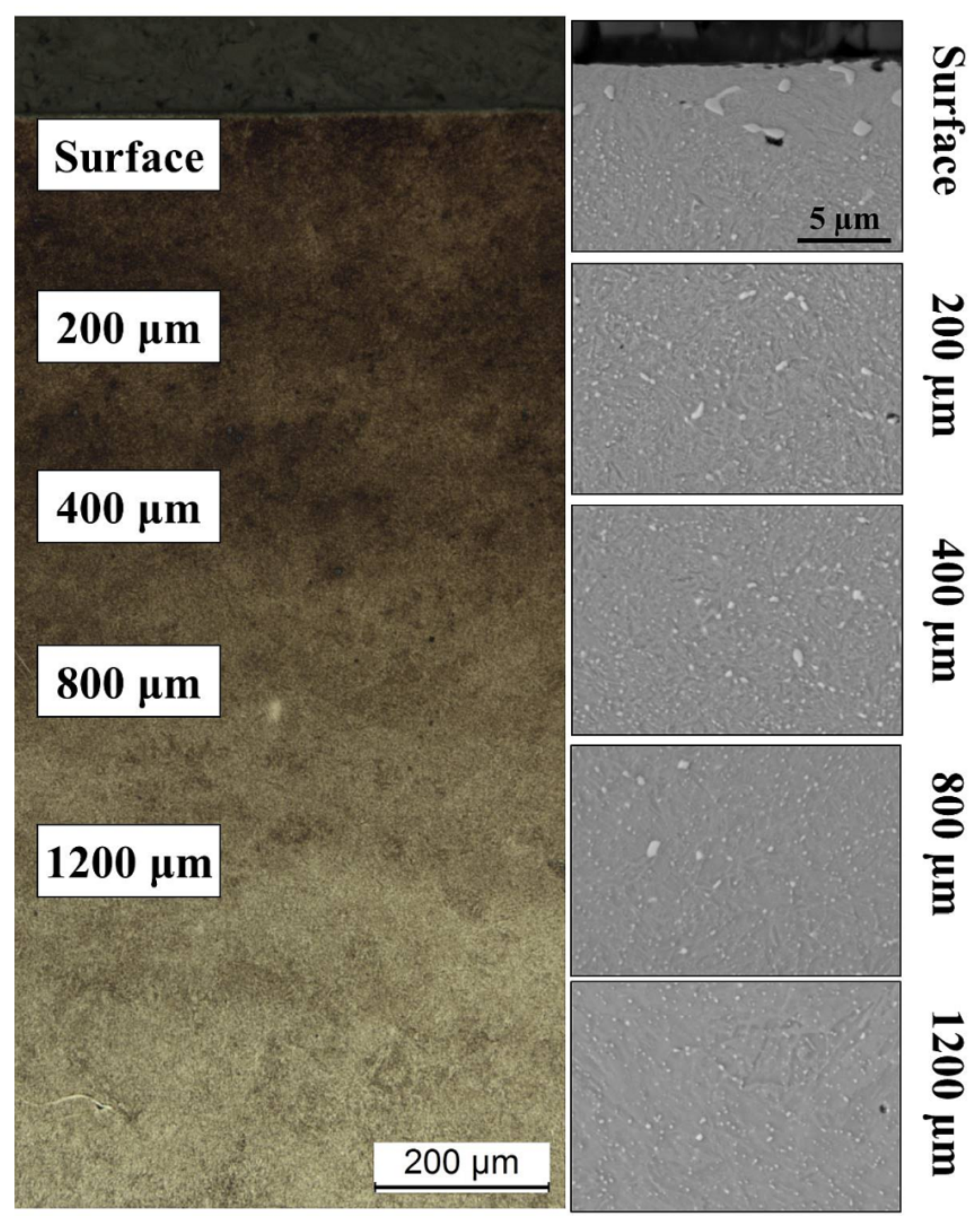 Materials 14 04269 g001 550