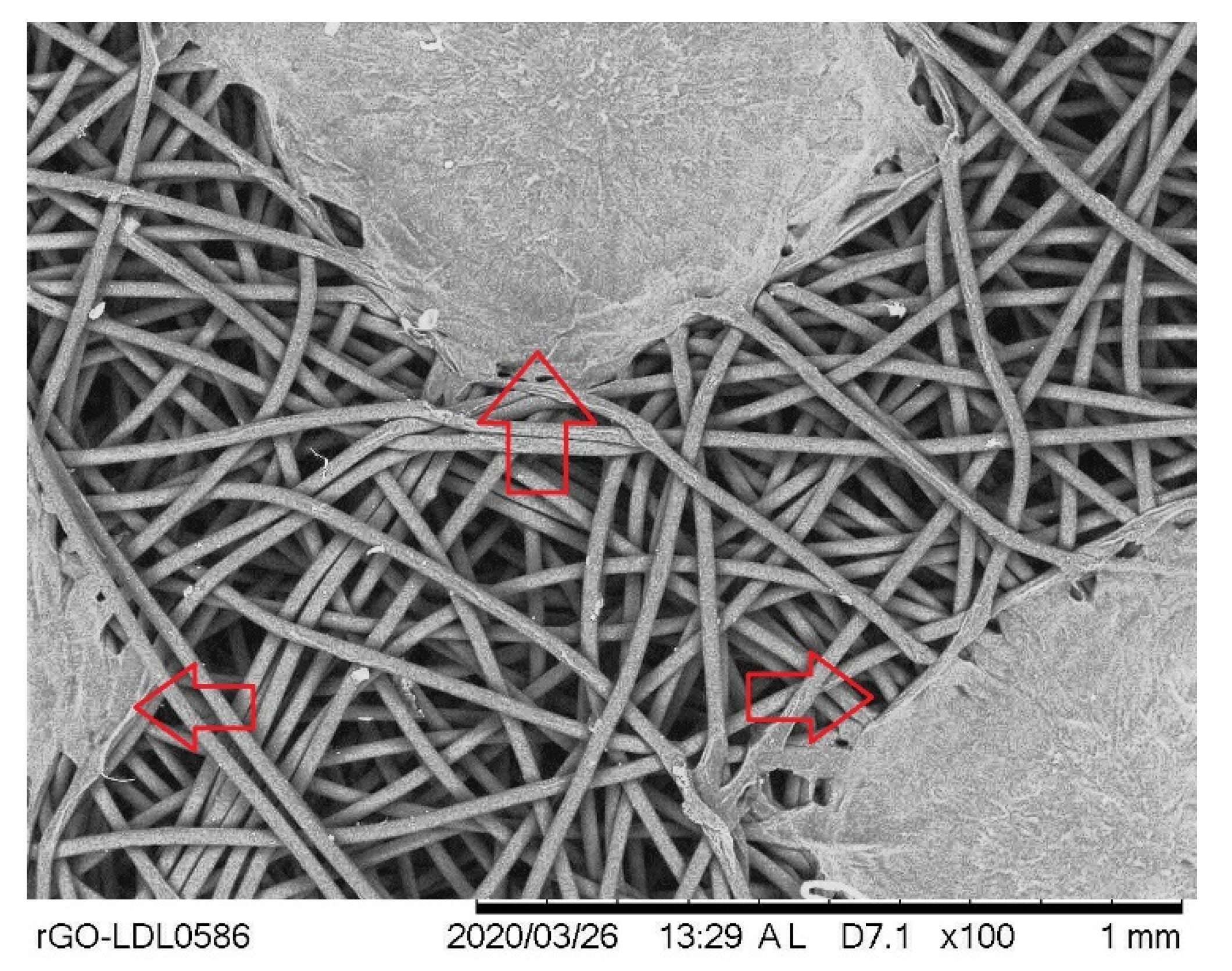 Materials 14 04272 g013