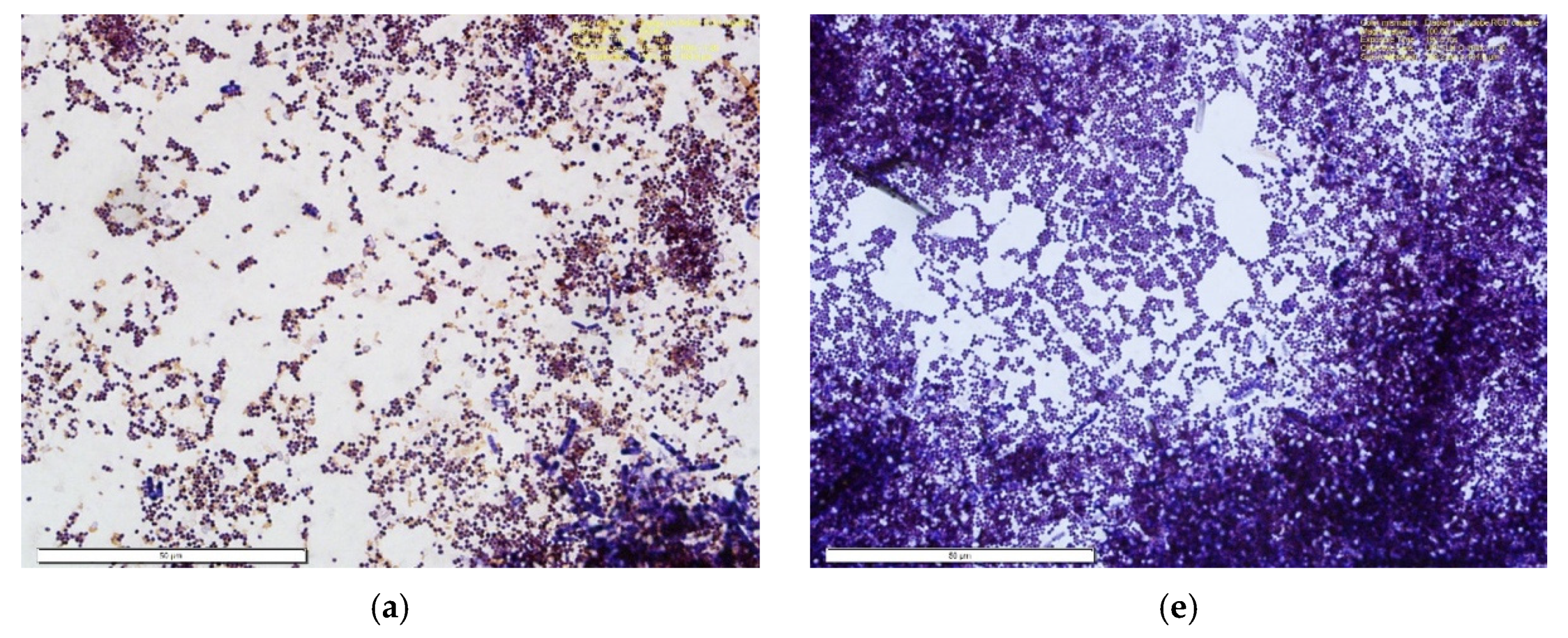 Materials 14 04272 g014a