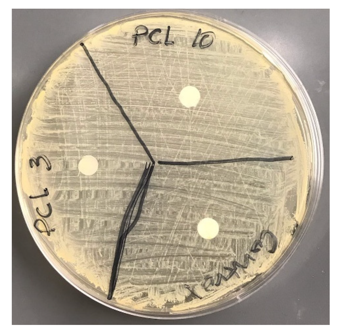 Materials 14 04272 g015