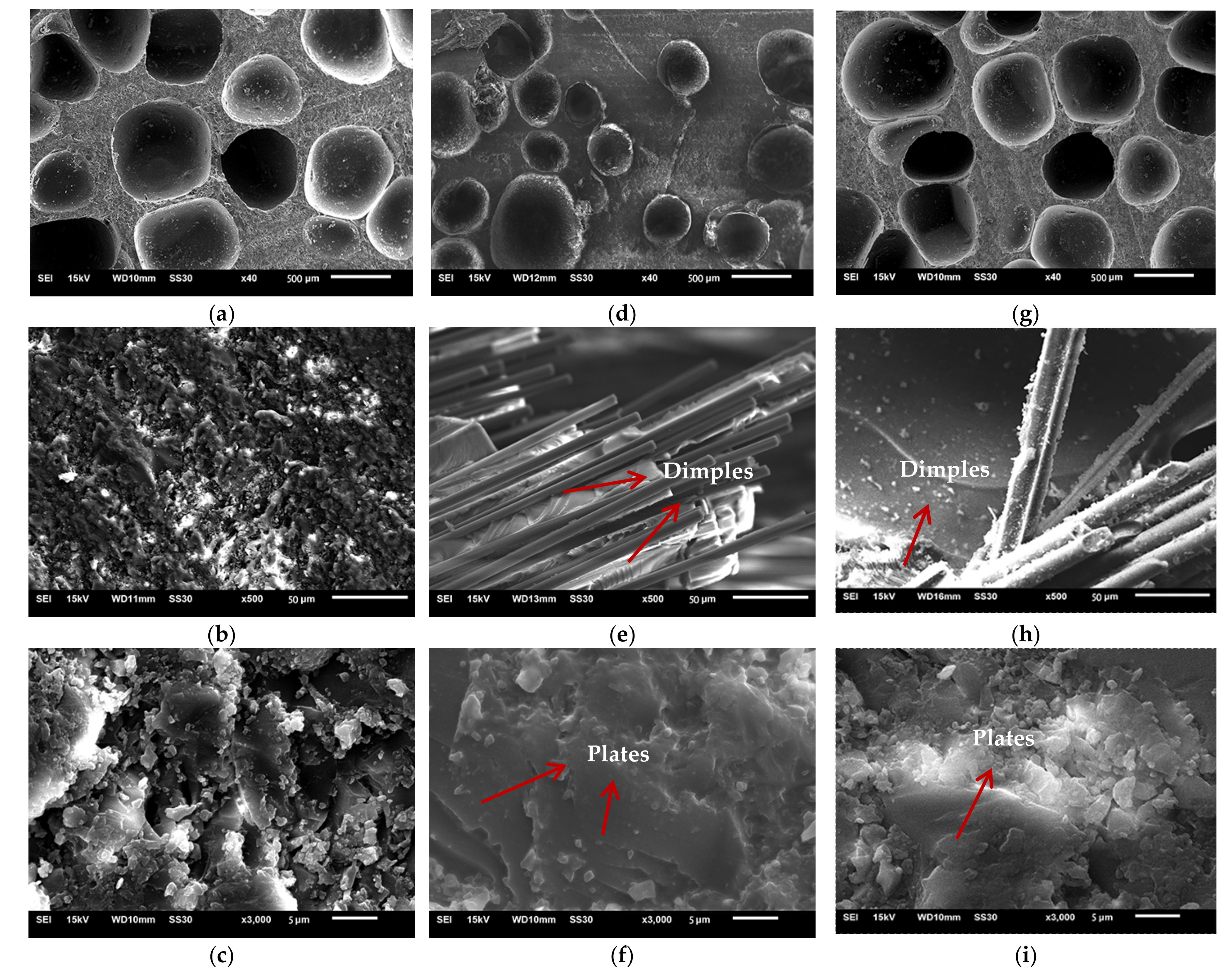 Materials 14 04273 g007 550