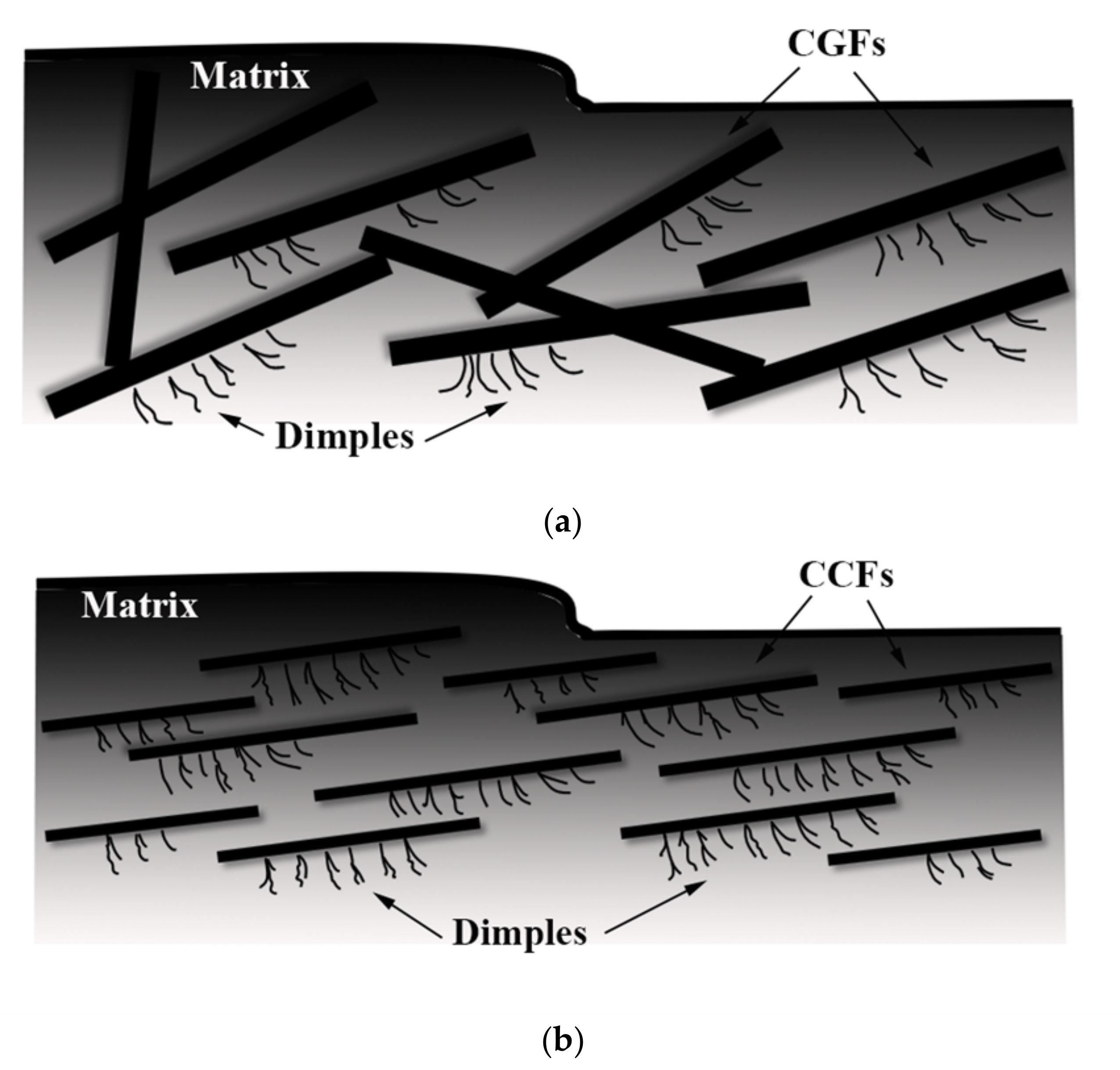 Materials 14 04273 g008 550
