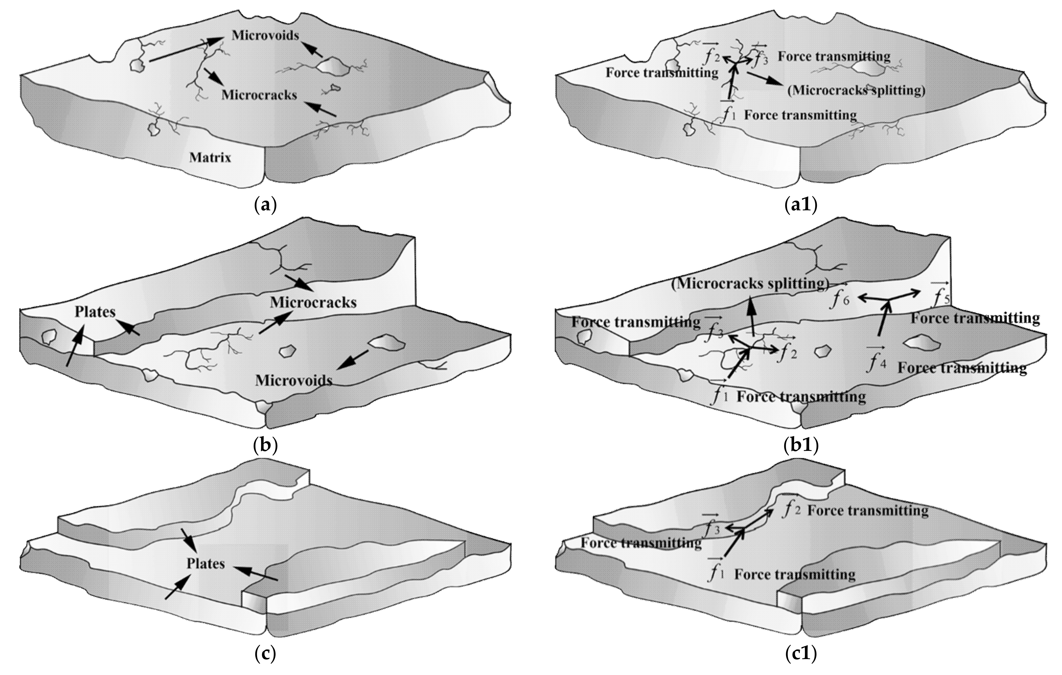 Materials 14 04273 g011 550
