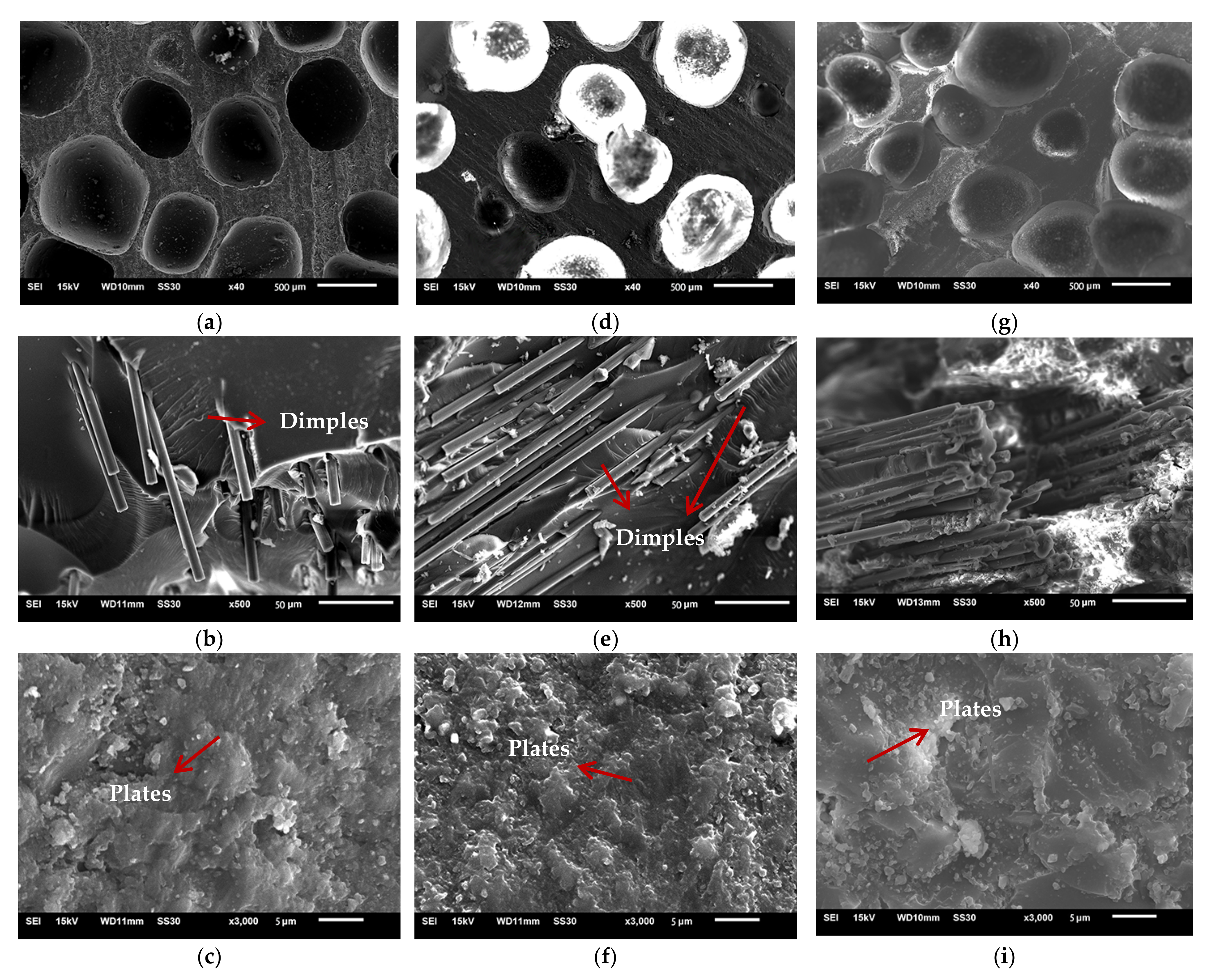 Materials 14 04273 g012 550