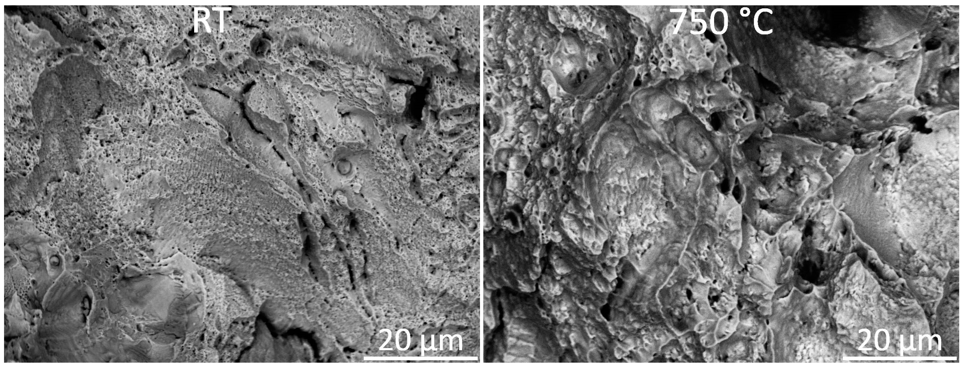 Materials 14 04280 g009 550