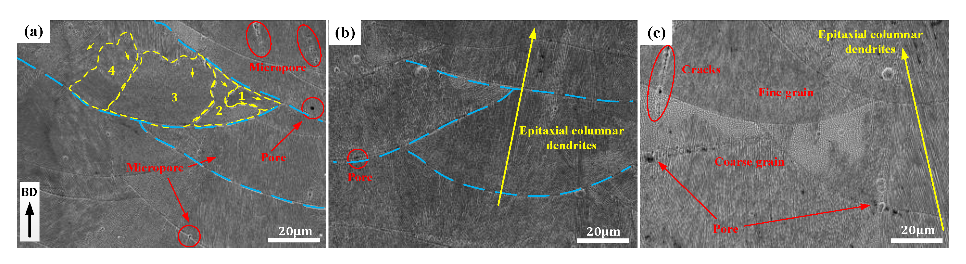 Materials 14 04305 g004 550