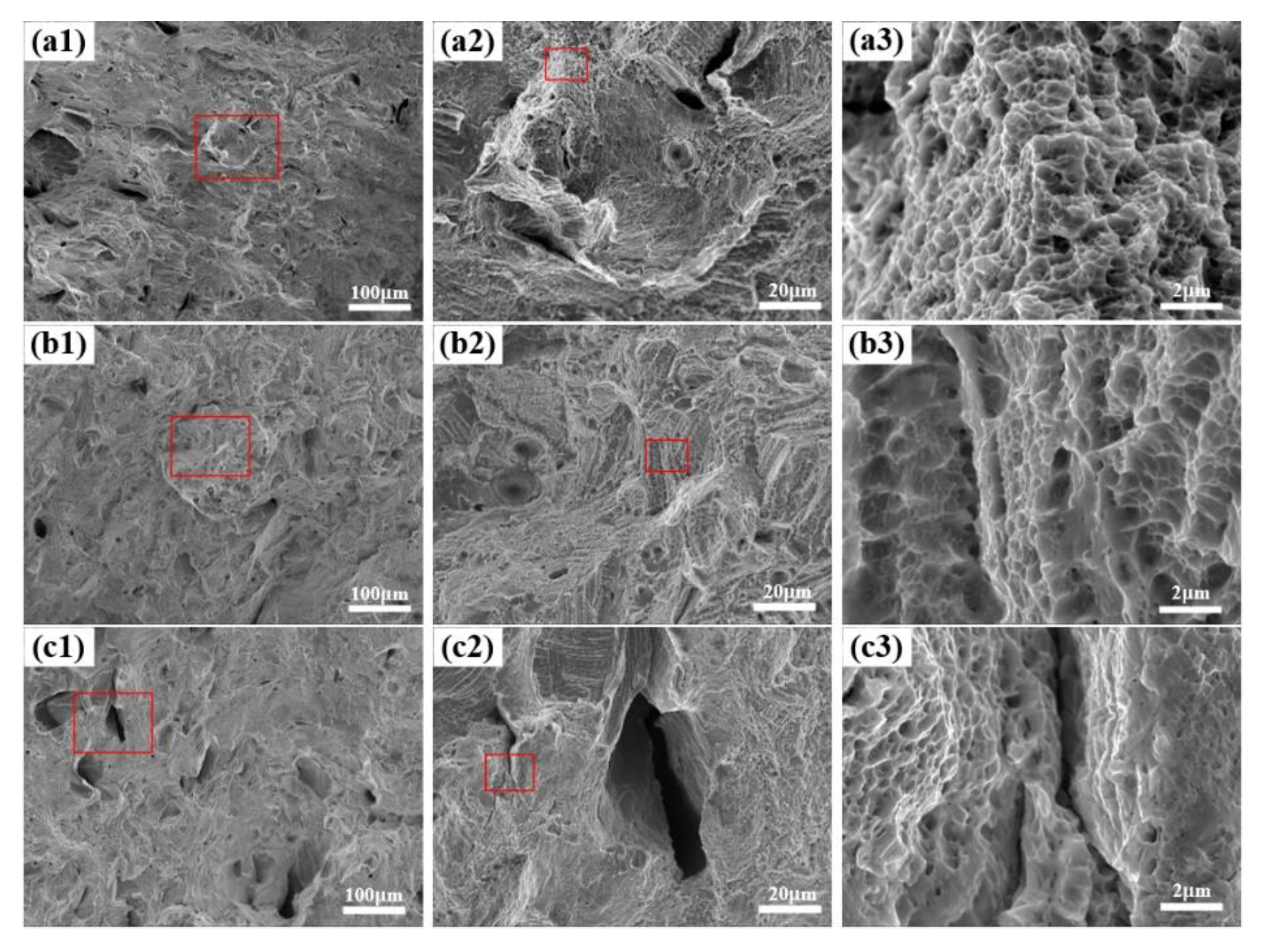 Materials 14 04305 g012 550
