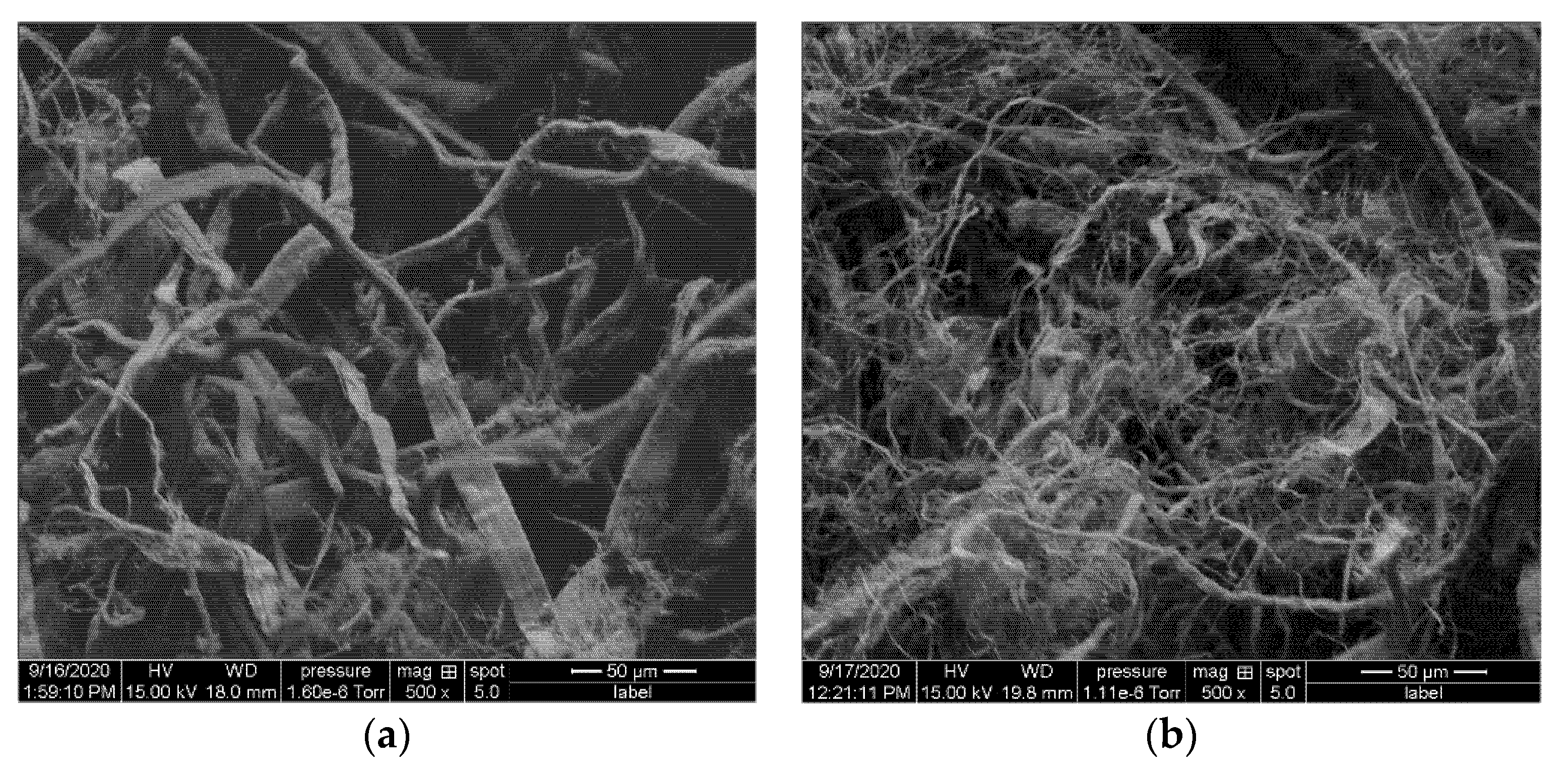 Materials 14 04310 g001 550