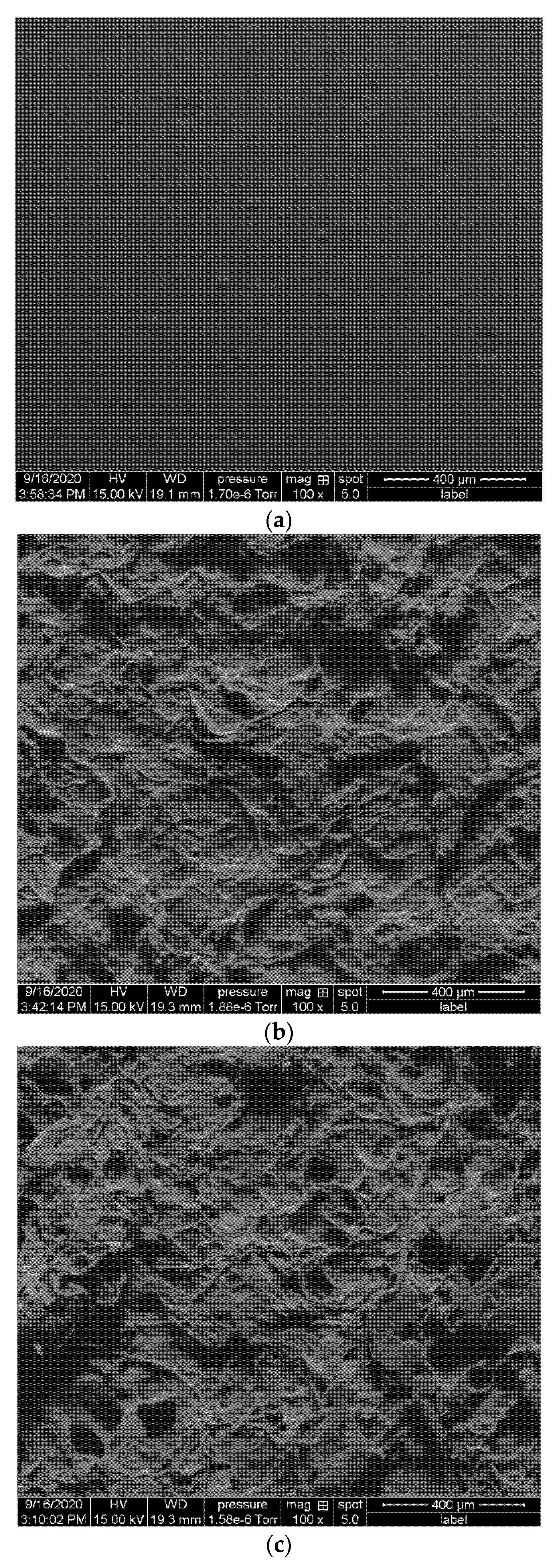Materials 14 04310 g005a 550