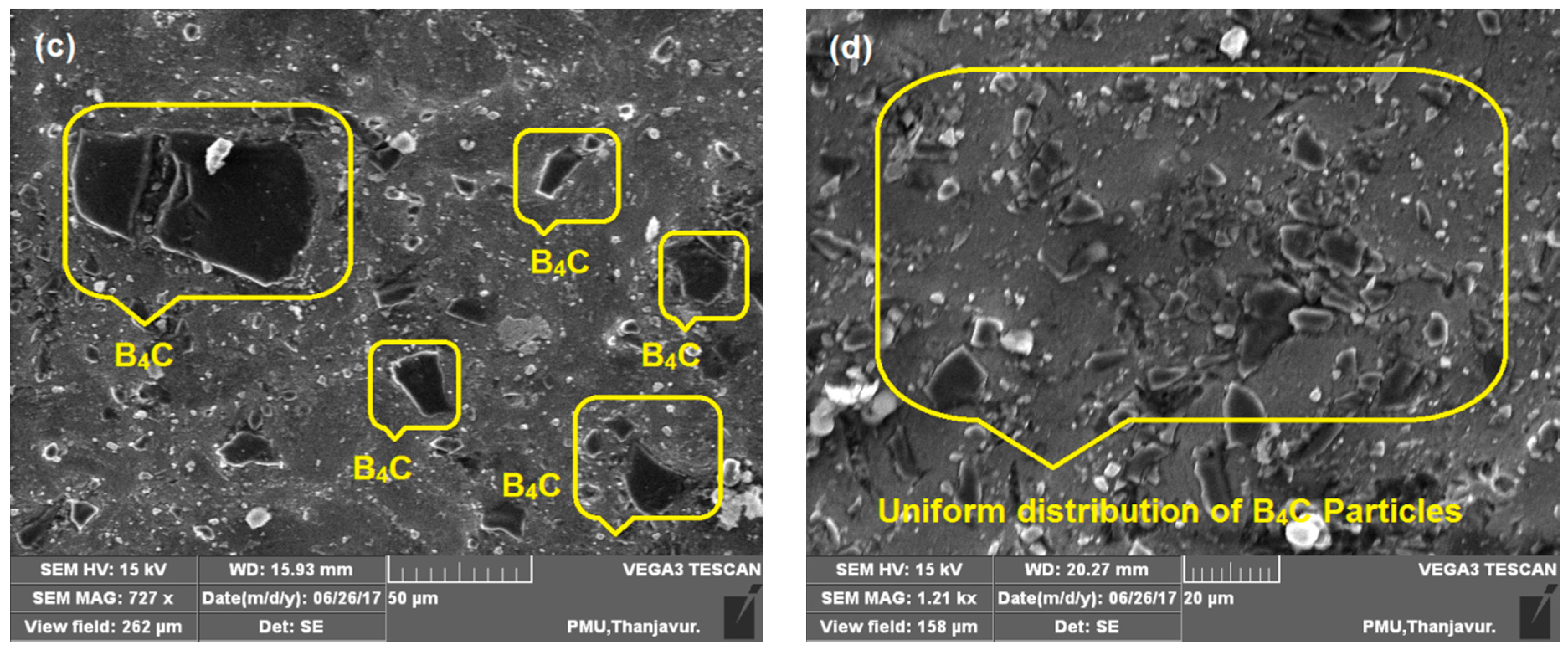Materials 14 04315 g004b 550