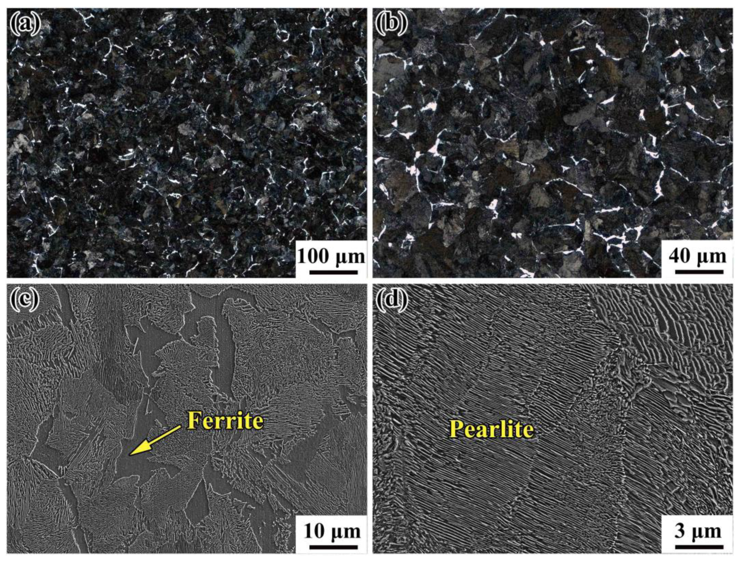 Materials 14 04318 g003