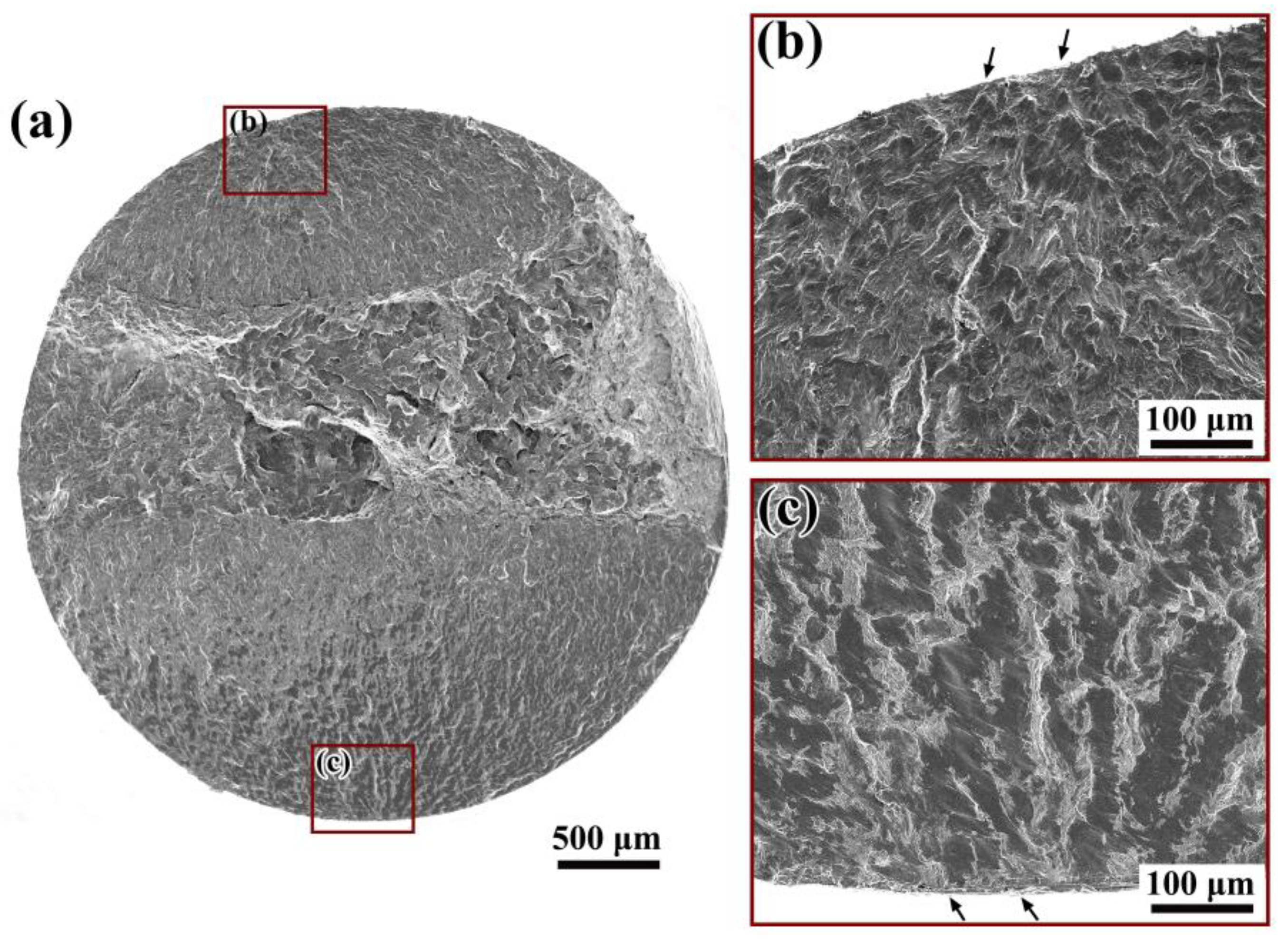 Materials 14 04318 g007