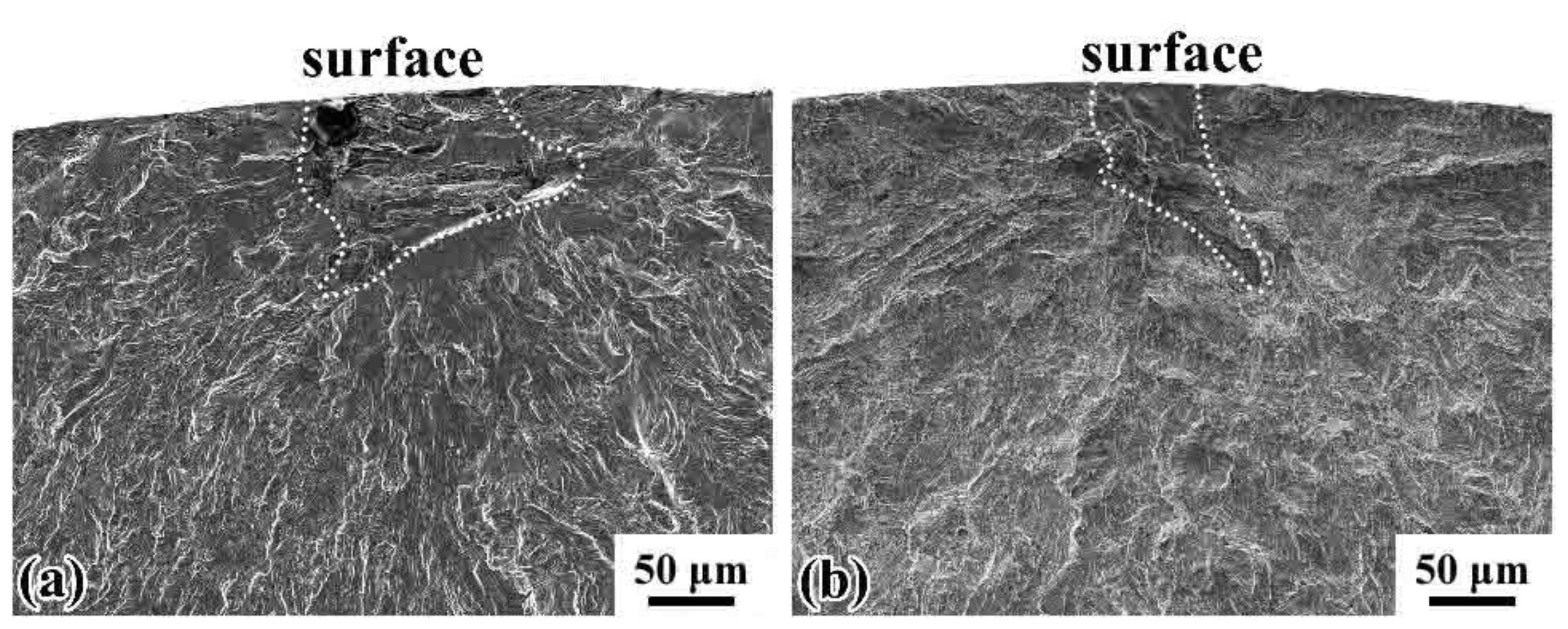 Materials 14 04318 g008