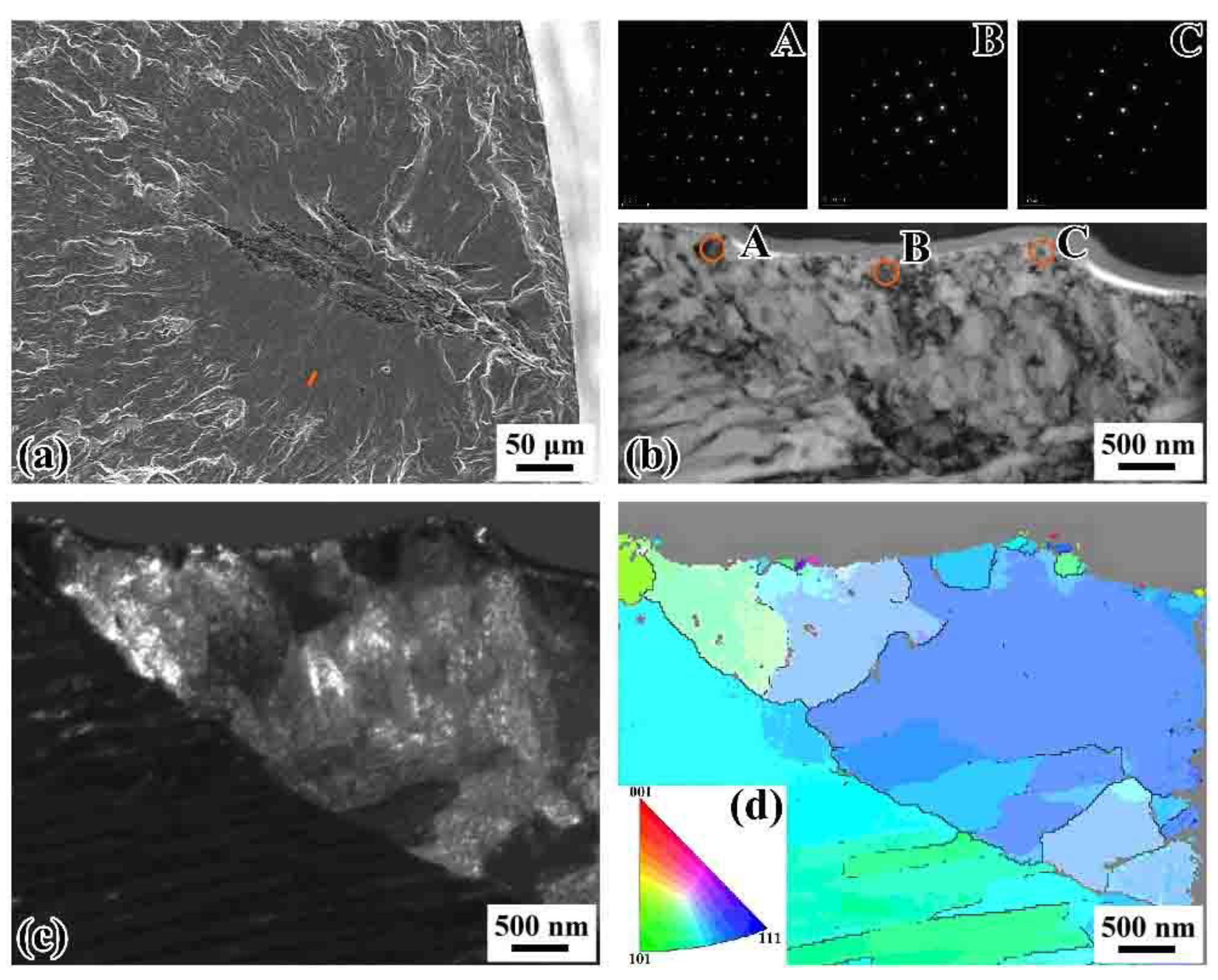 Materials 14 04318 g013