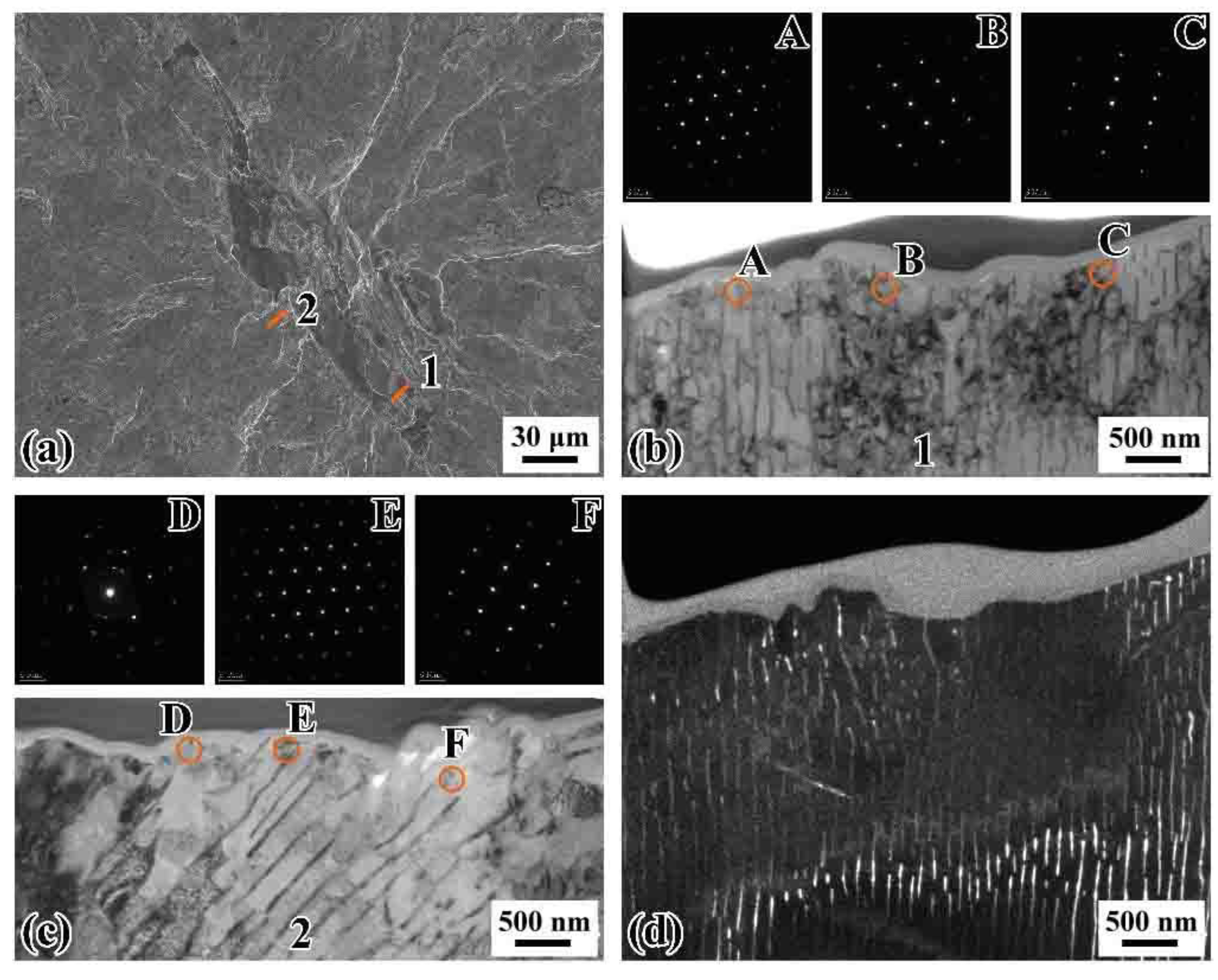 Materials 14 04318 g014