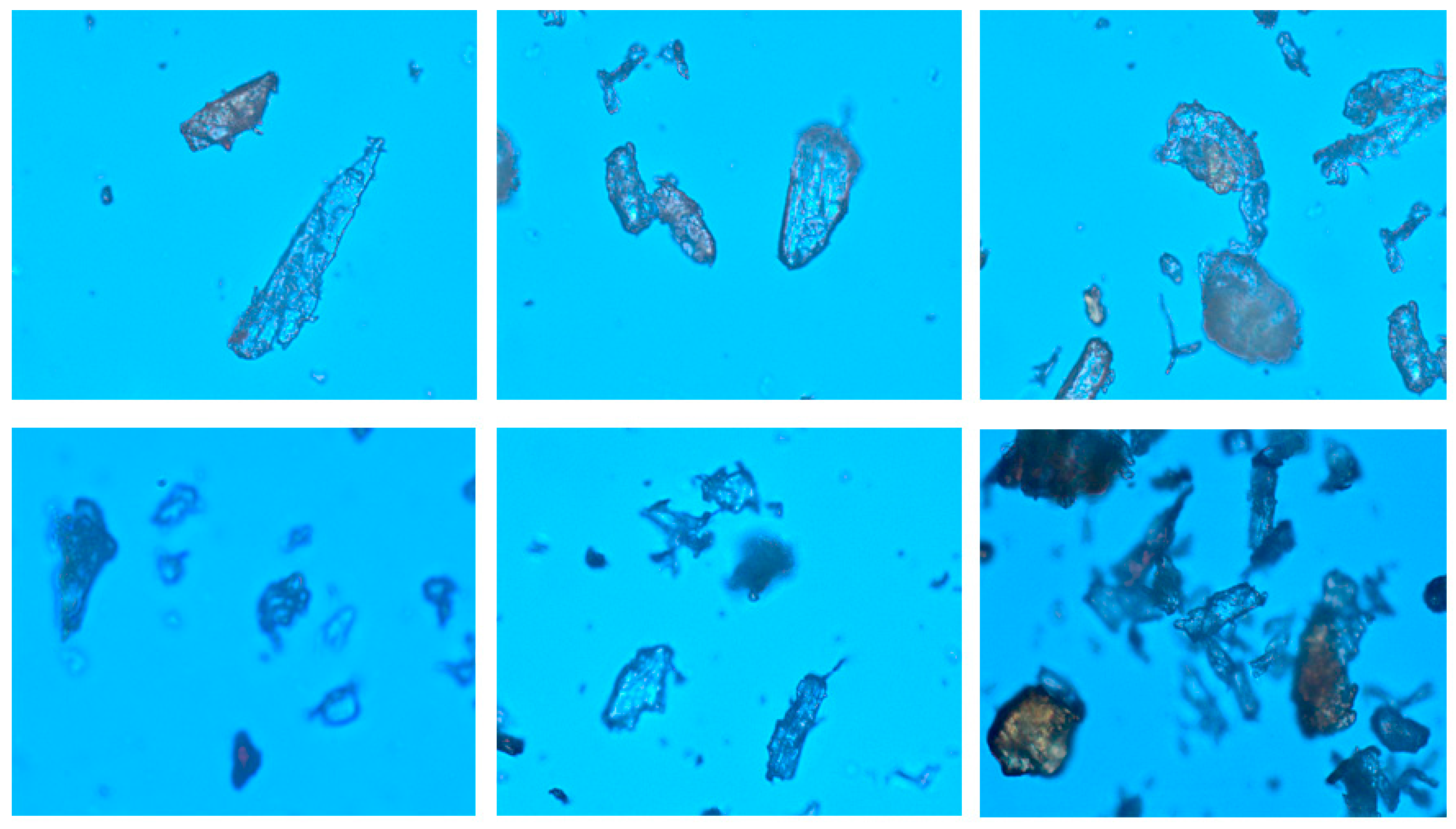 Materials 14 04319 g001