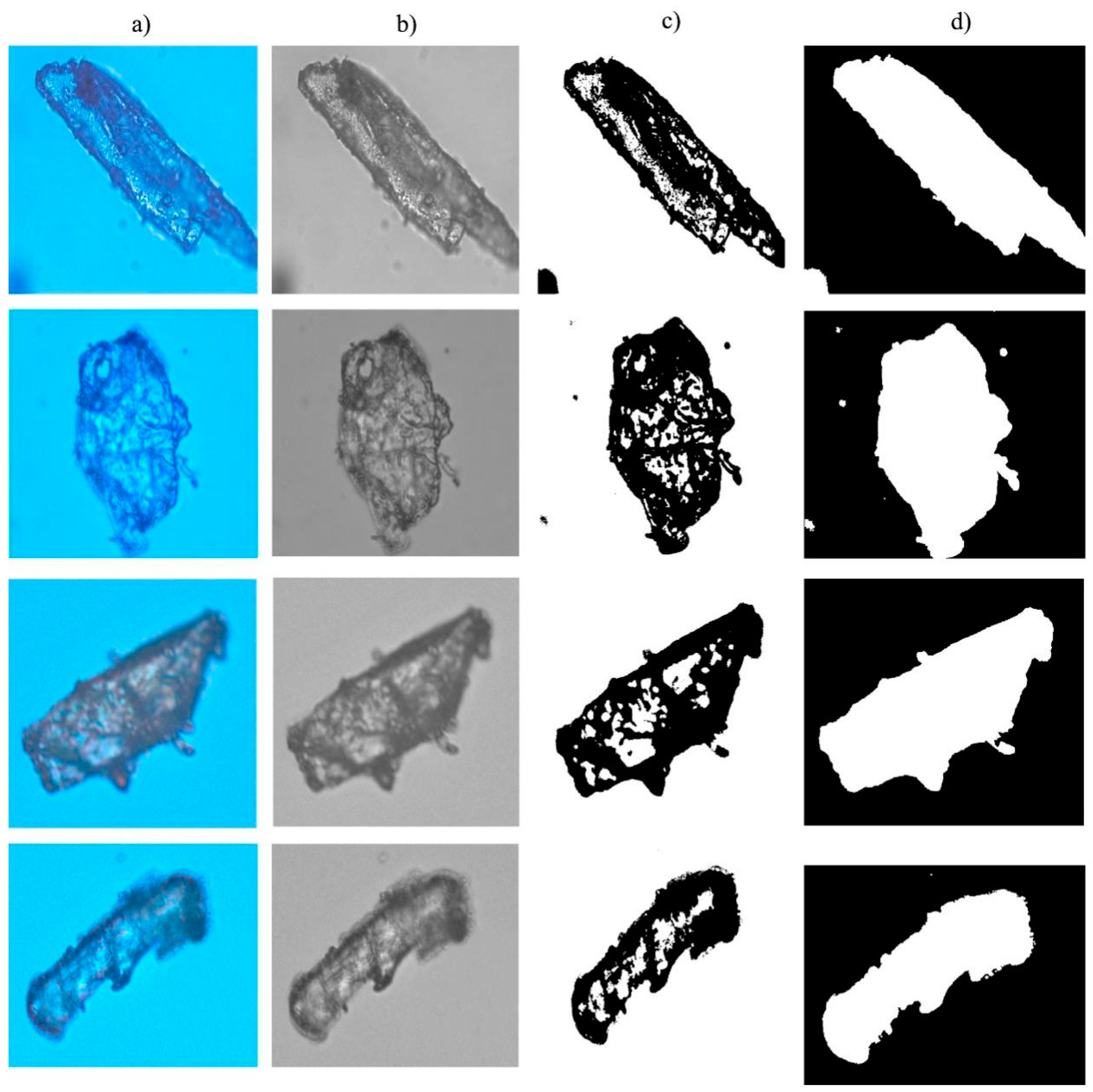 Materials 14 04319 g002