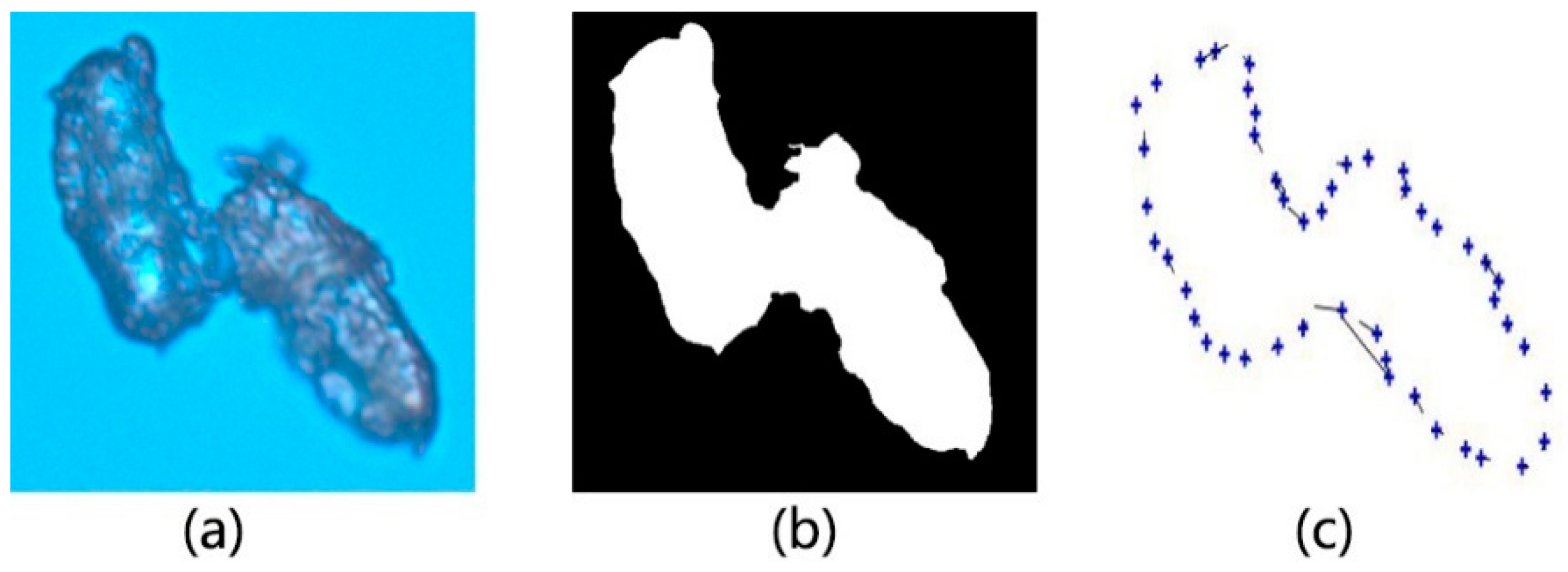 Materials 14 04319 g005