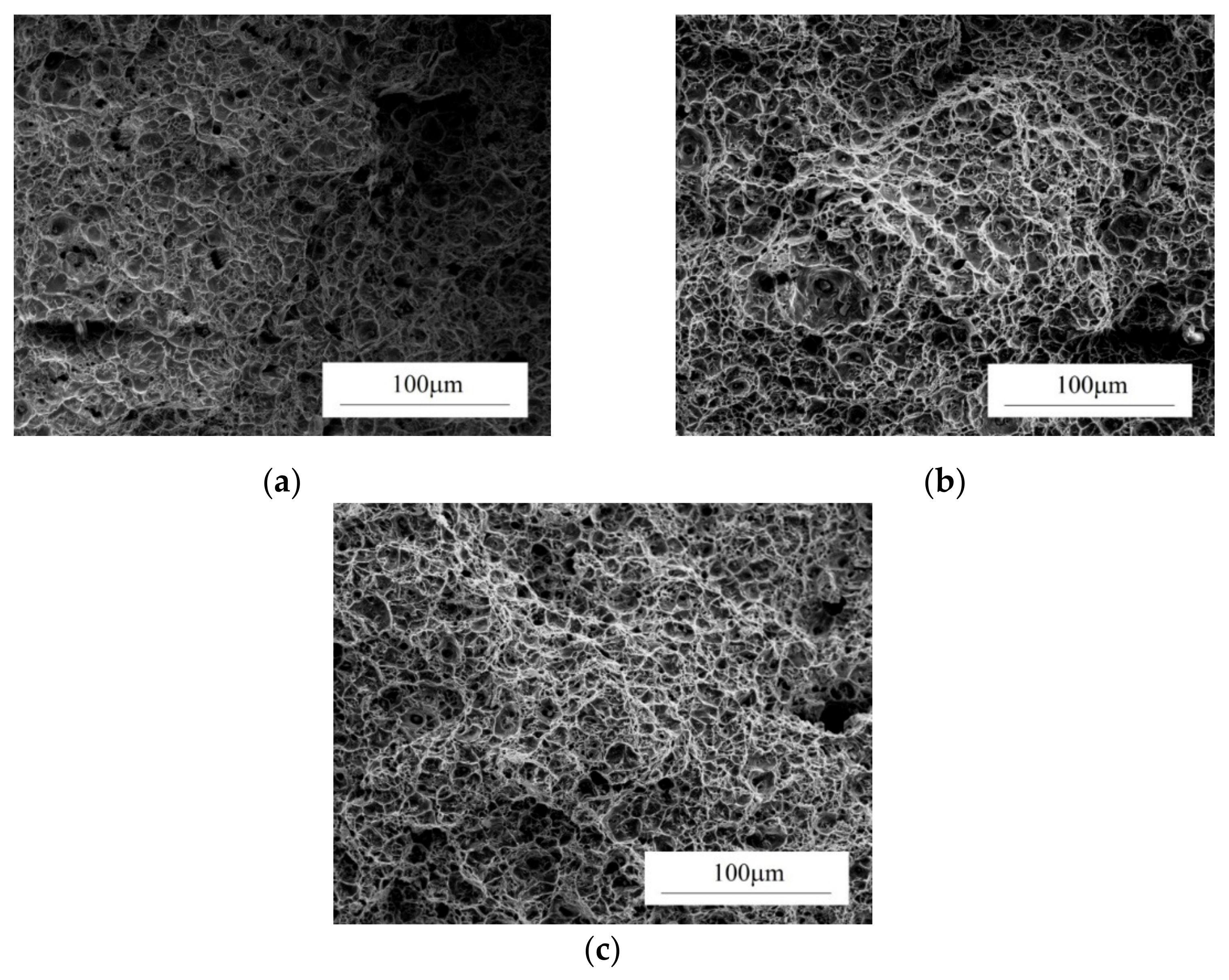 Materials 14 04321 g010