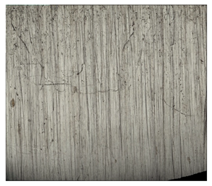 Materials 14 04323 i021 Materials 14 04323 i021