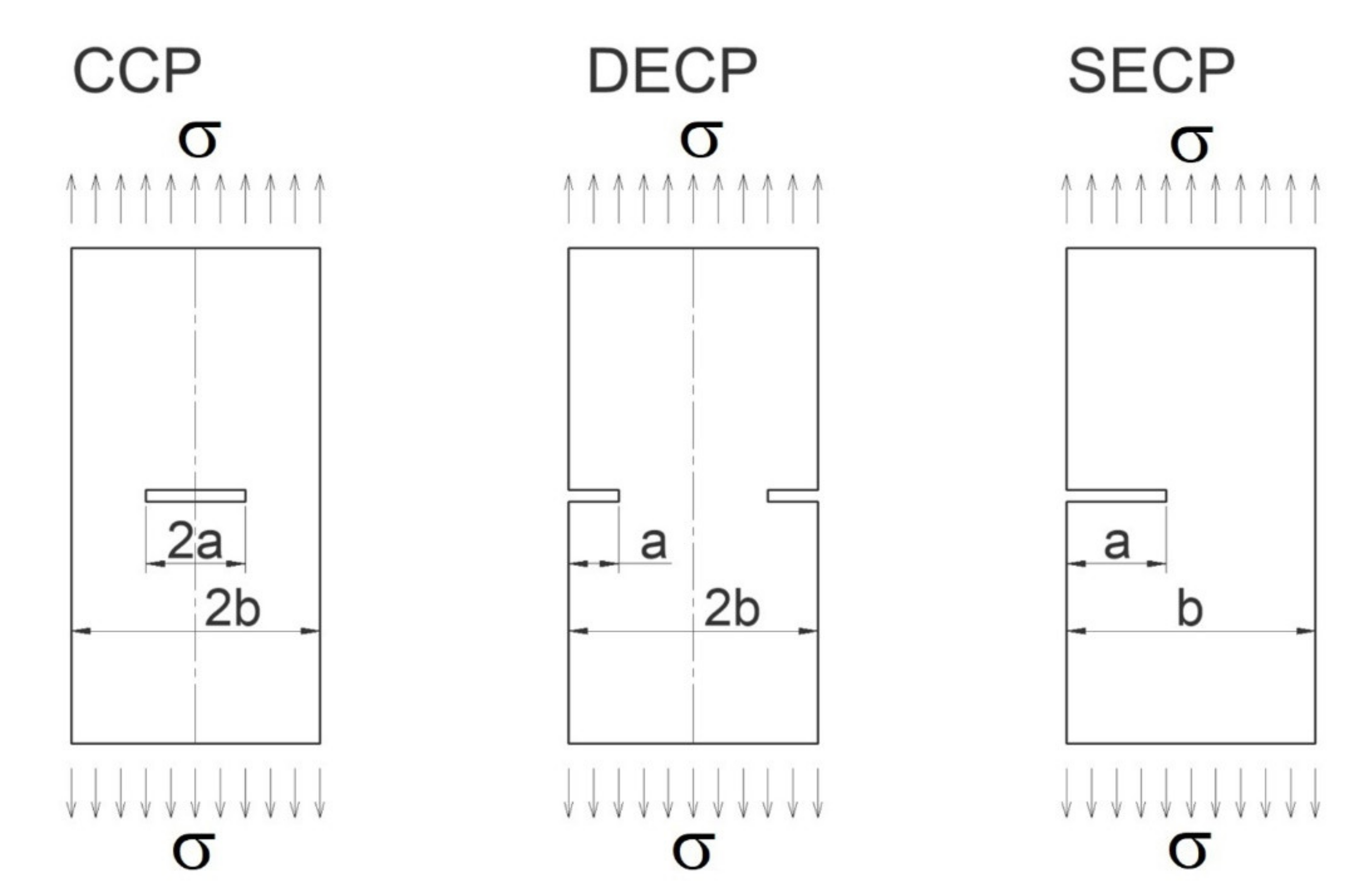Materials 14 04324 g004 550