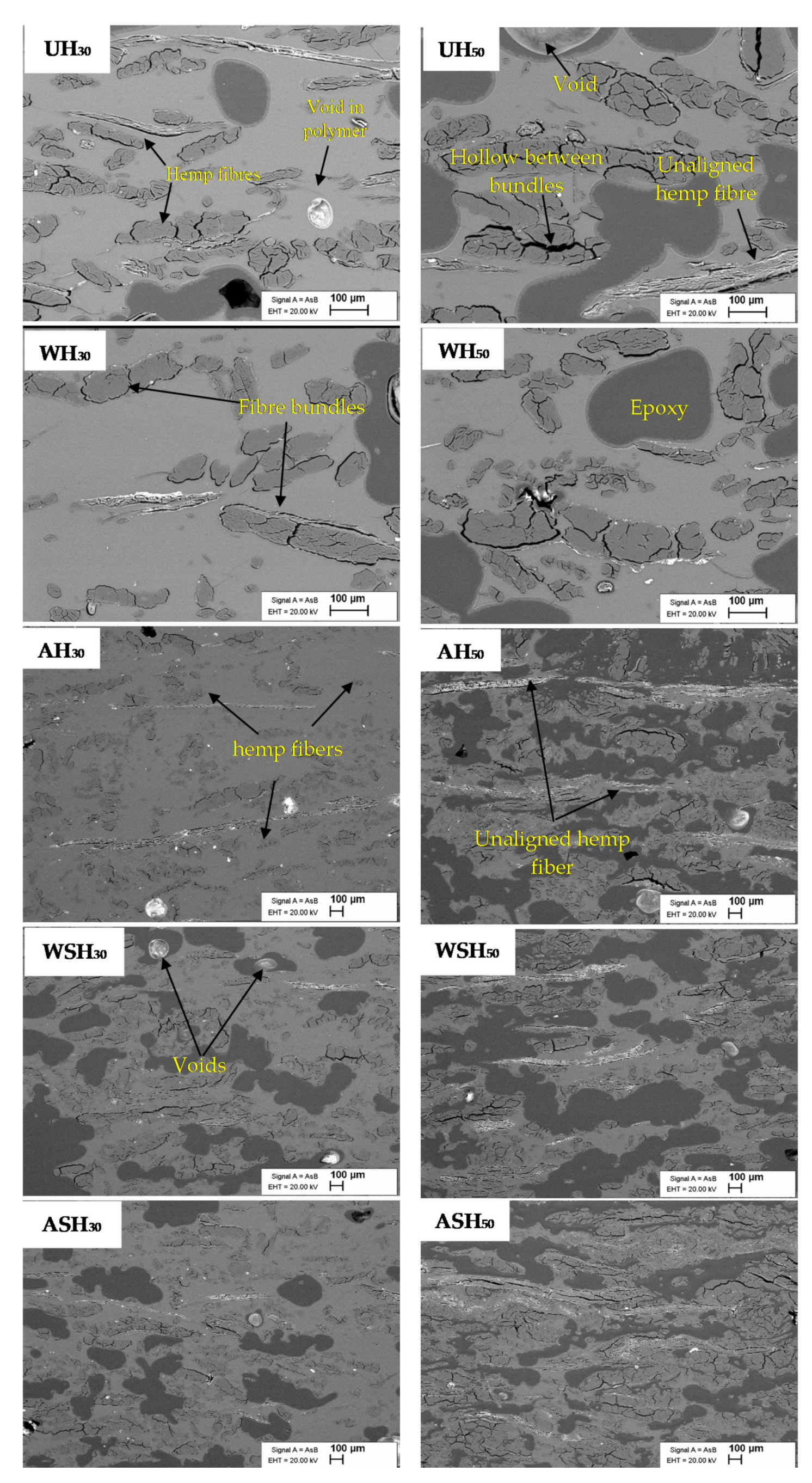 Materials 14 04332 g005