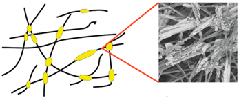 Materials 14 04335 i003 Materials 14 04335 i003