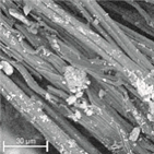 Materials 14 04335 i019 Materials 14 04335 i019