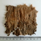 Materials 14 04335 i023 Materials 14 04335 i023